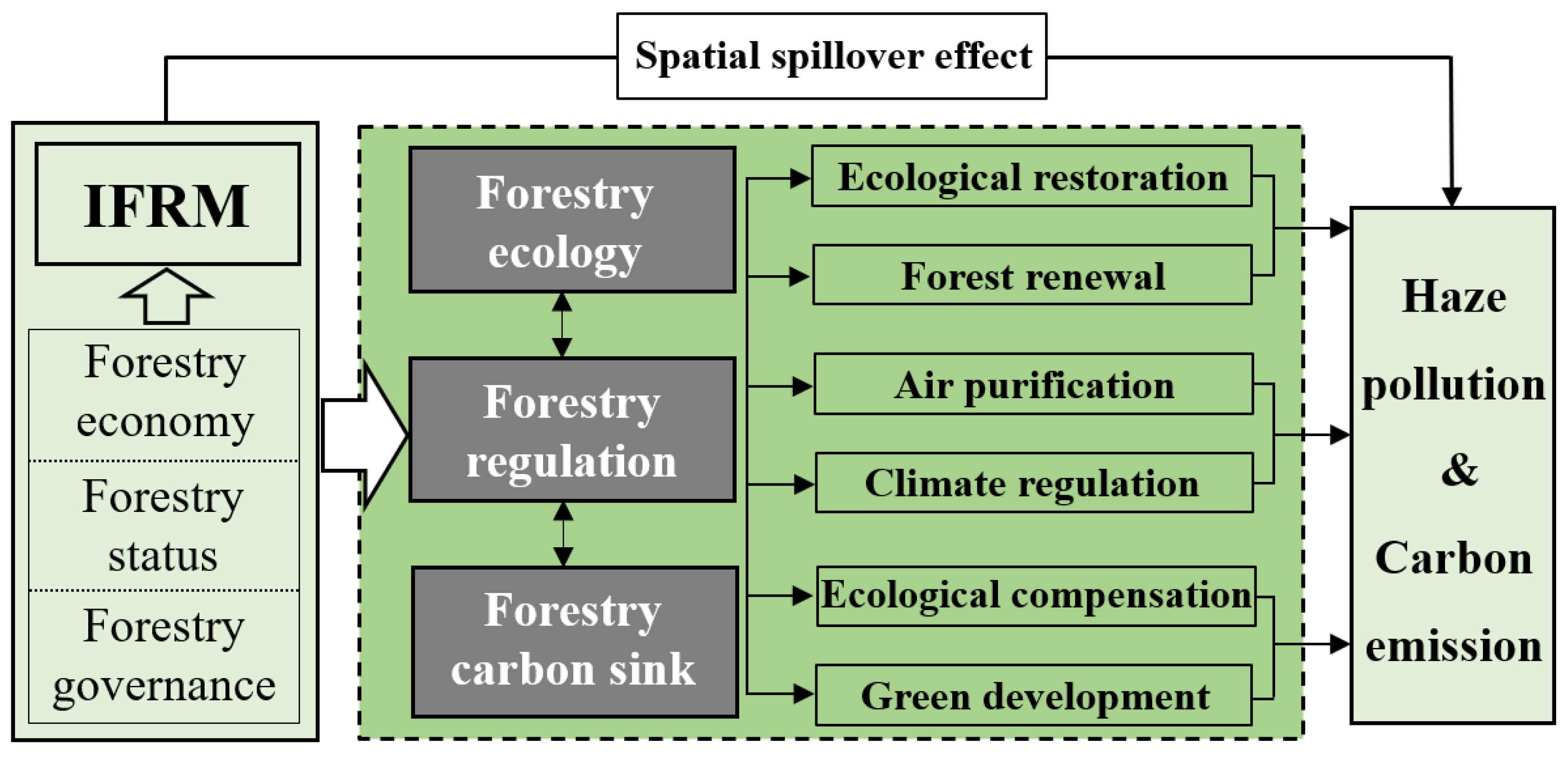 Forests 15 01534 g001