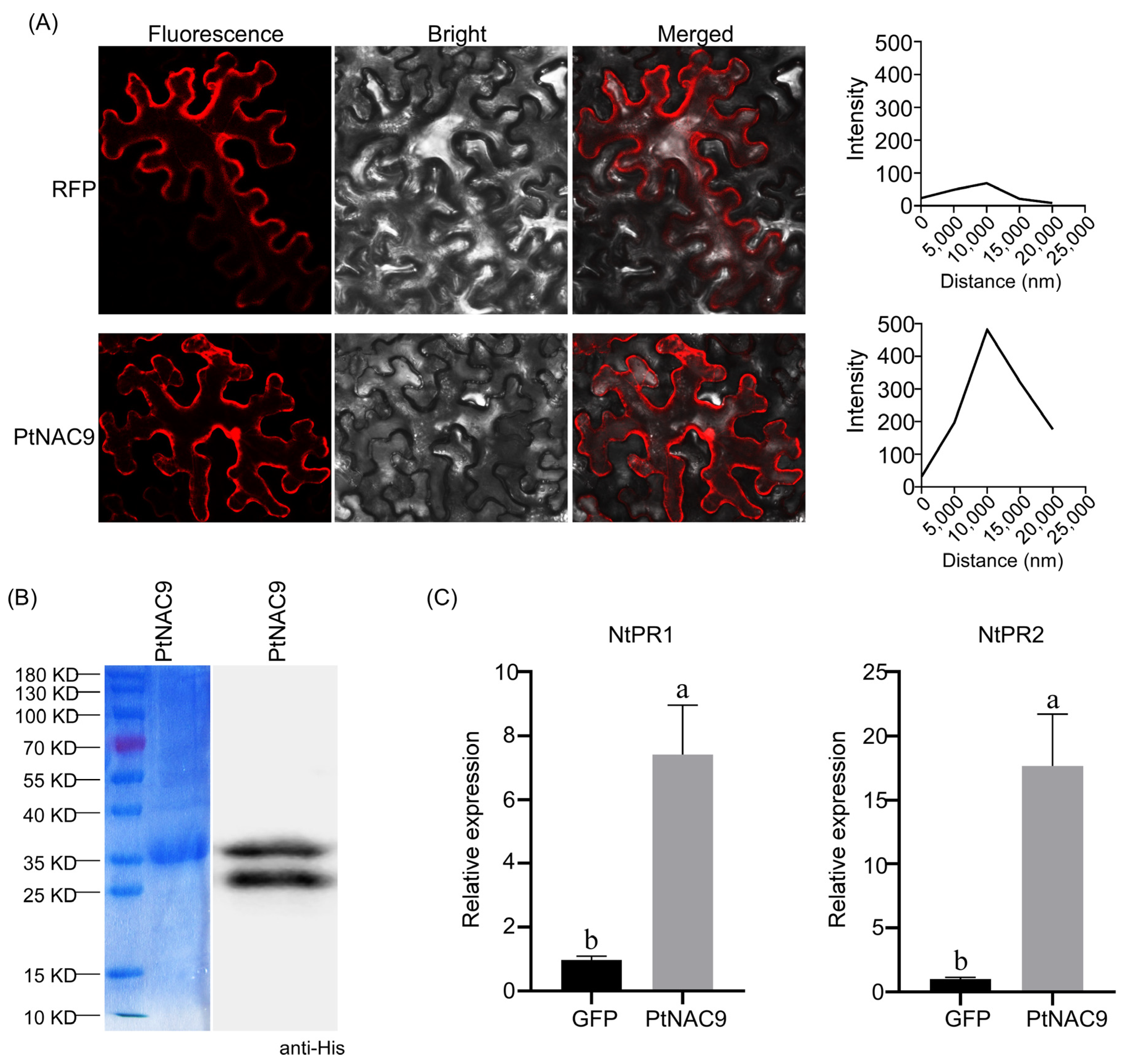 Forests 15 01538 g004
