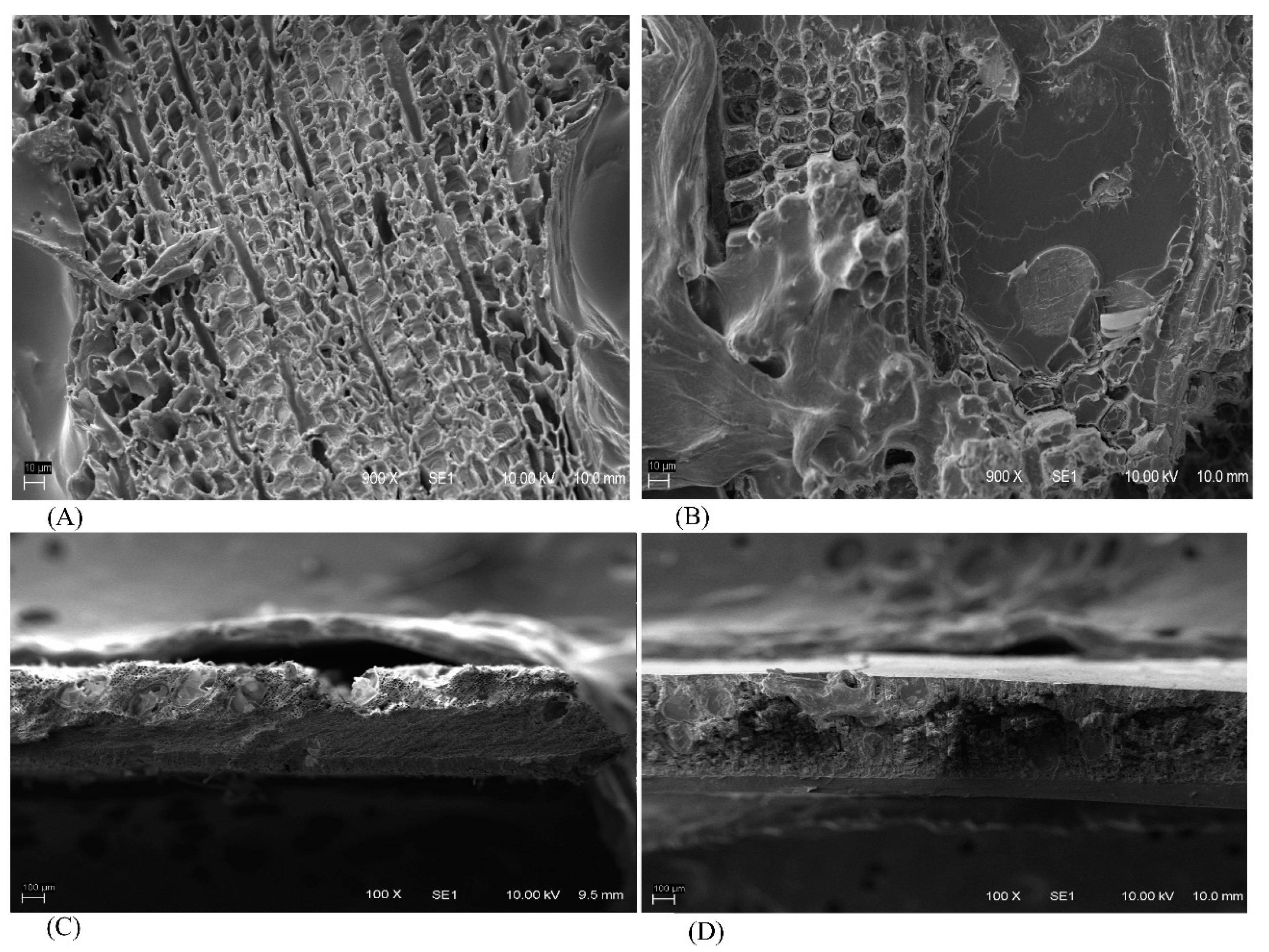 Forests 15 01544 g011