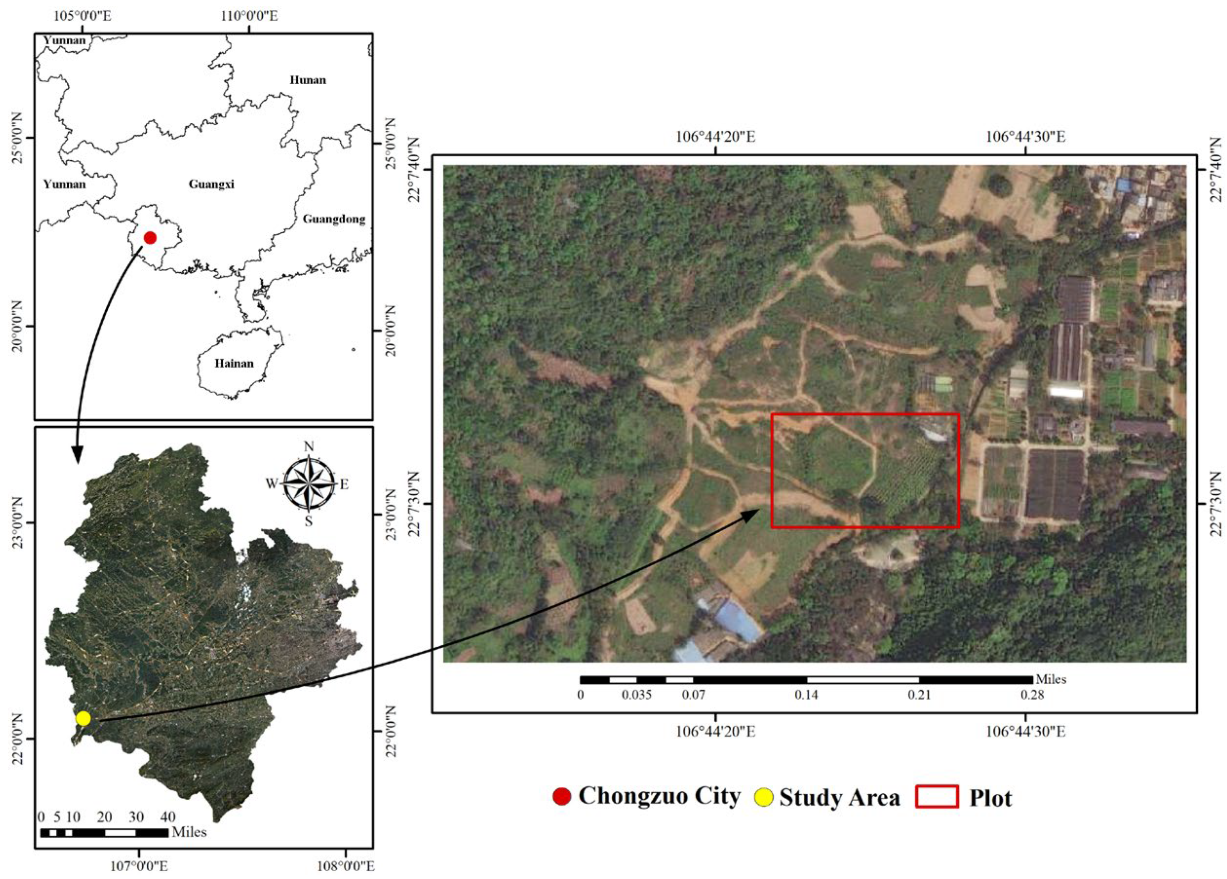 Forests 15 01558 g001 Forests 15 01558 g001