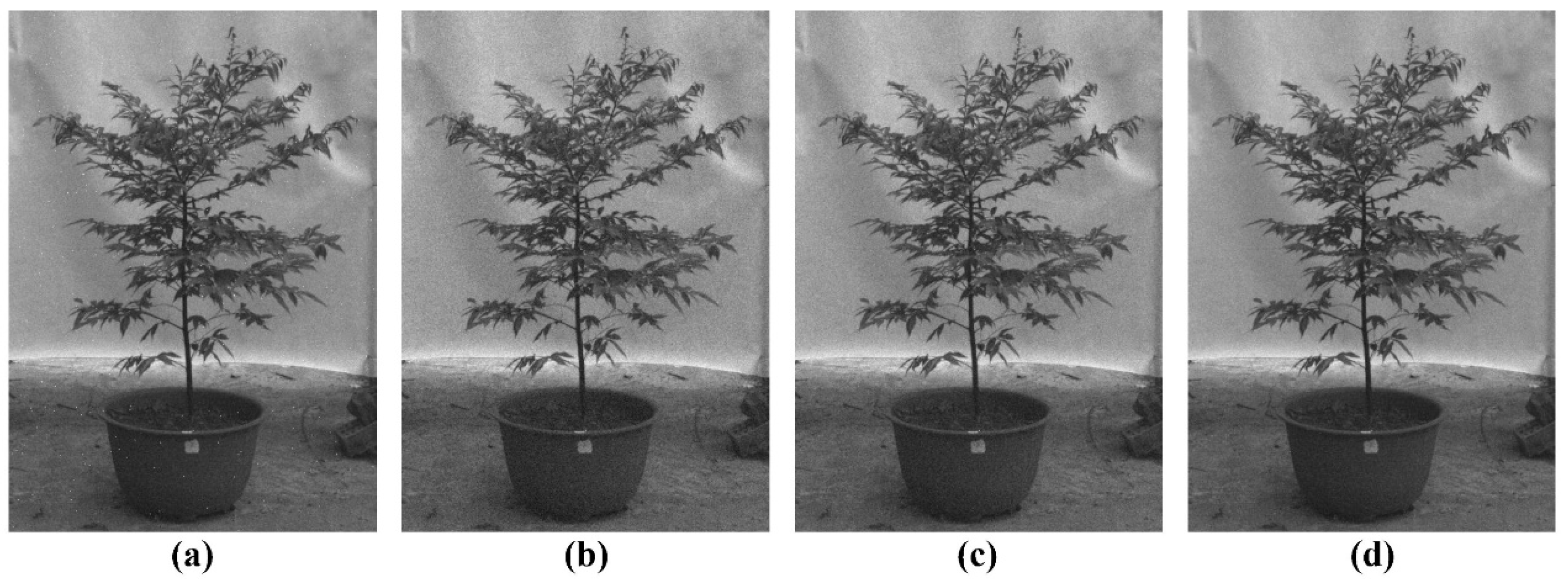 Forests 15 01558 g006 Forests 15 01558 g006
