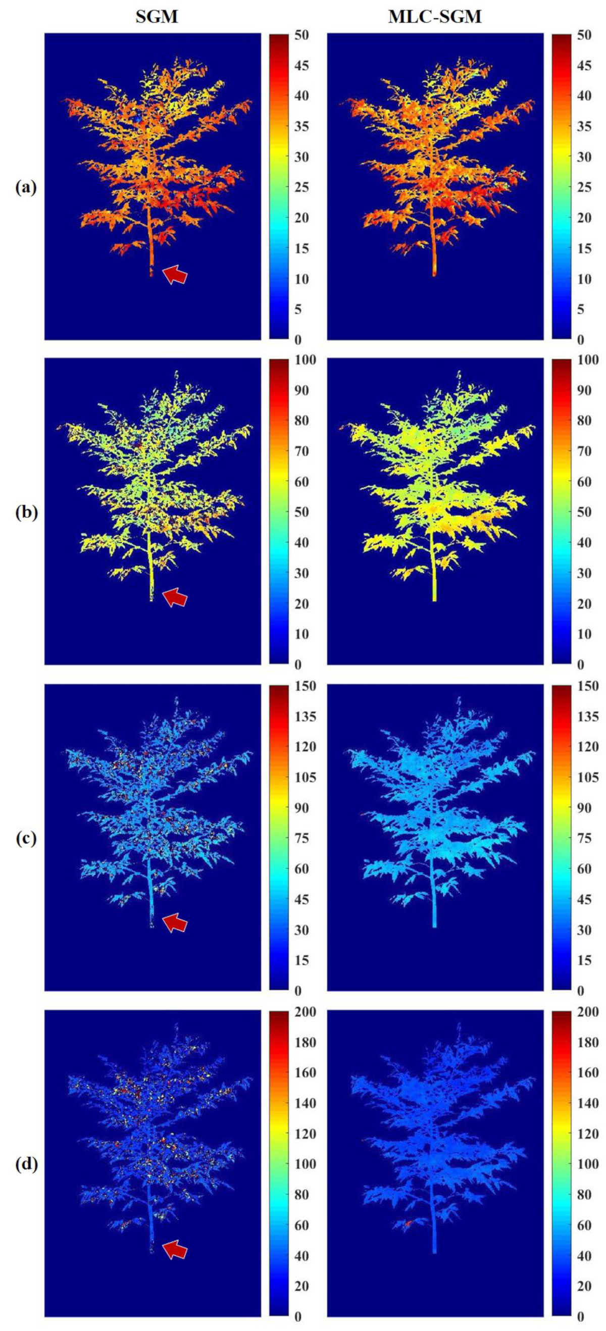 Forests 15 01558 g009 Forests 15 01558 g009