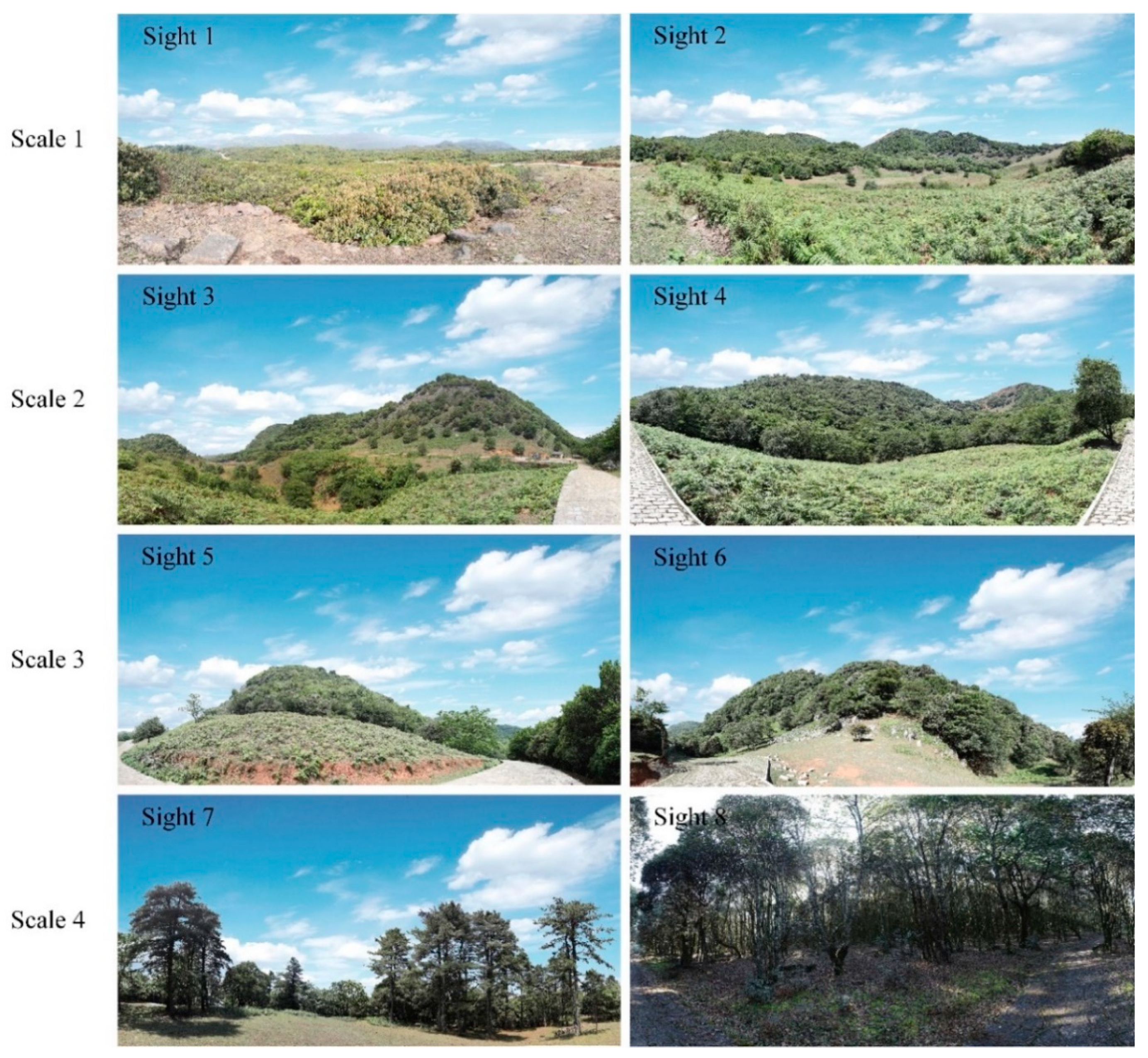 Forests 15 01566 g002