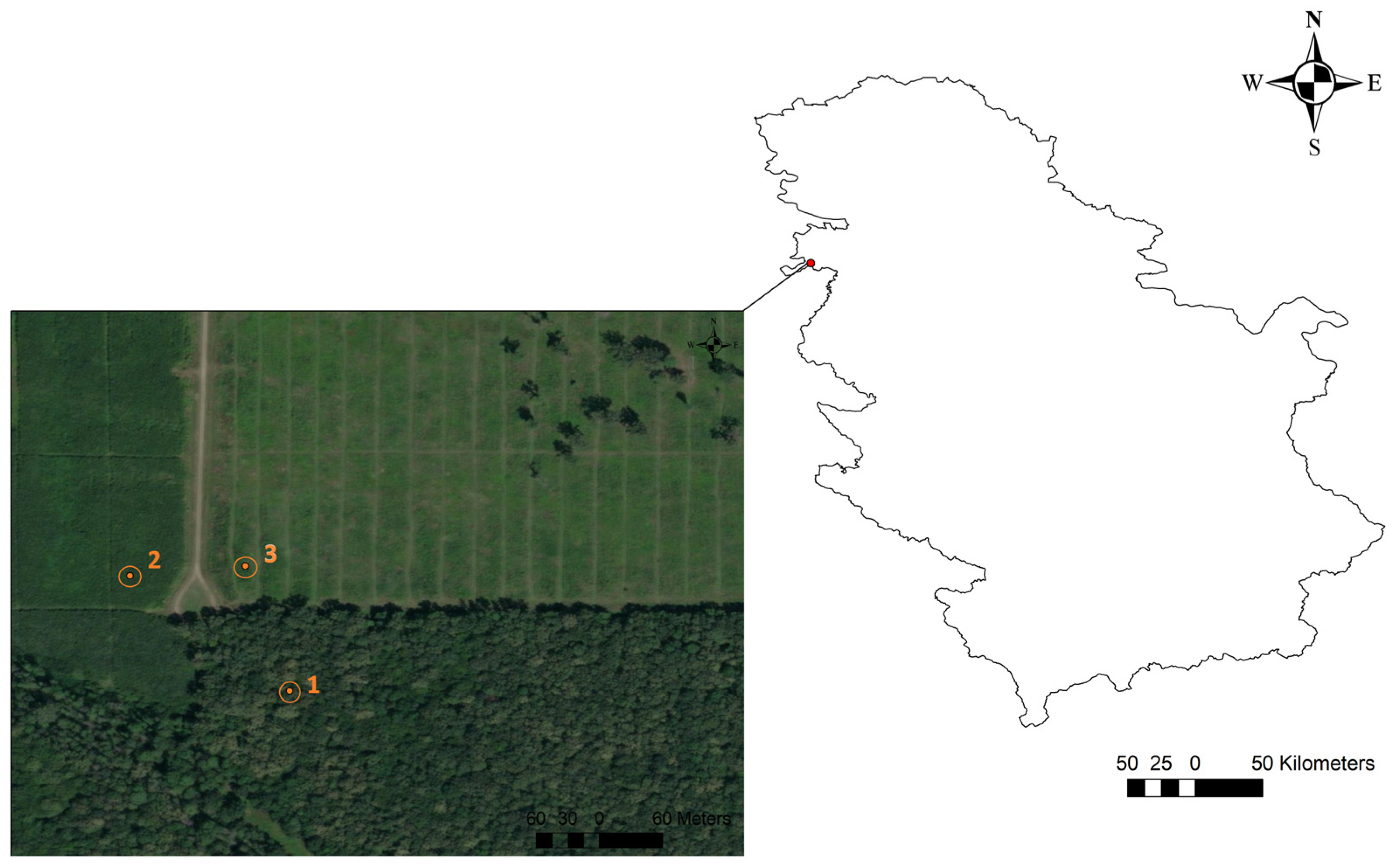 Forests 15 01574 g001