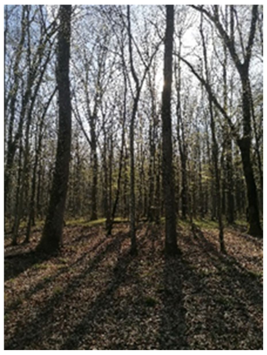 Forests 15 01574 g0a1