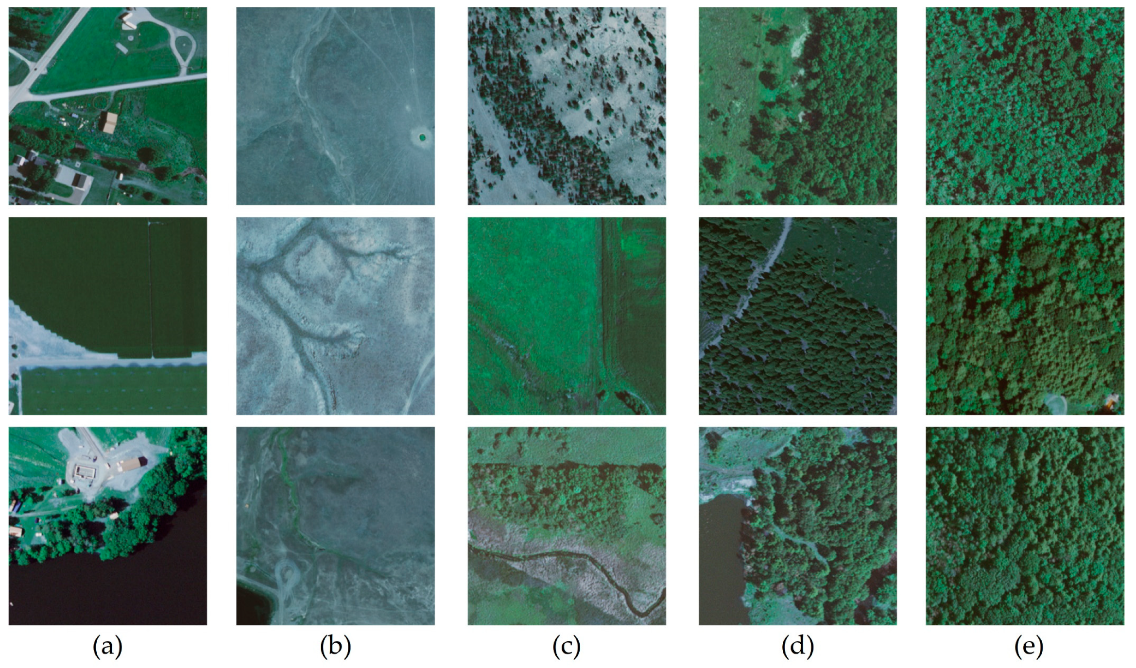 Forests 15 01581 g009