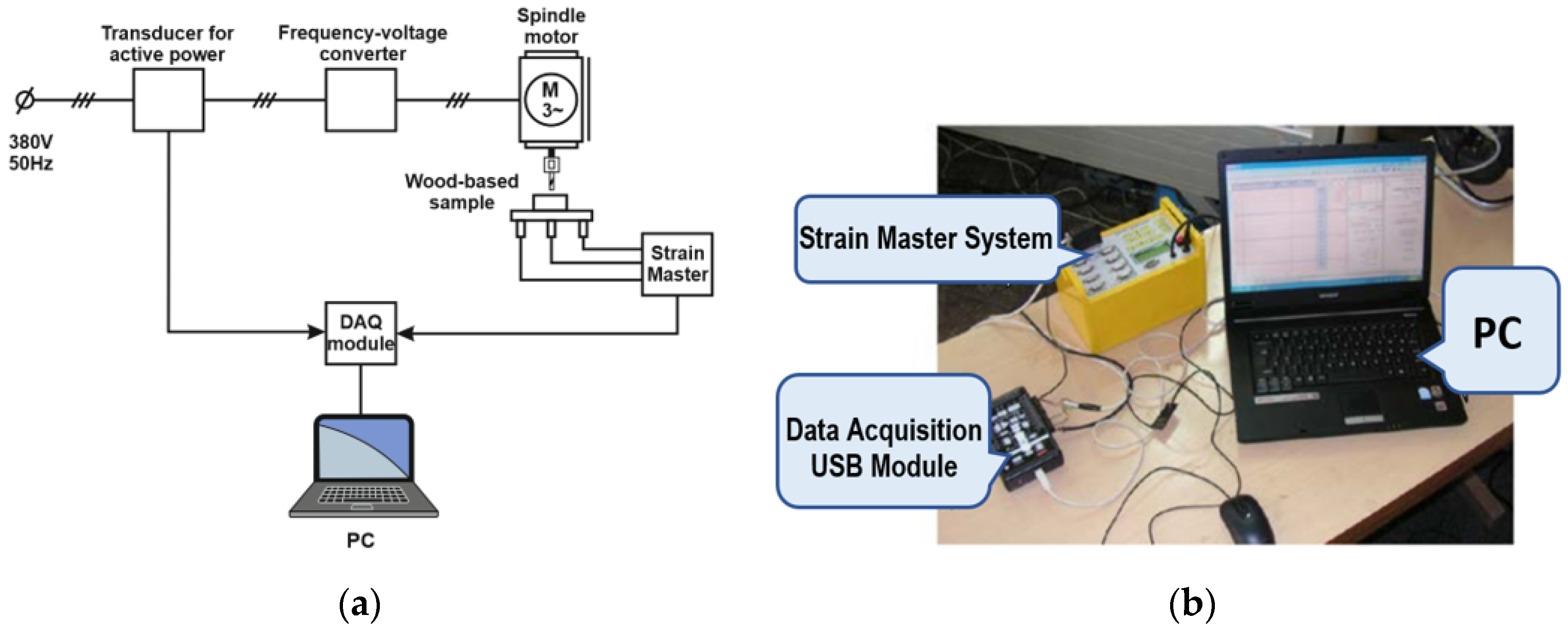 Forests 15 01600 g004