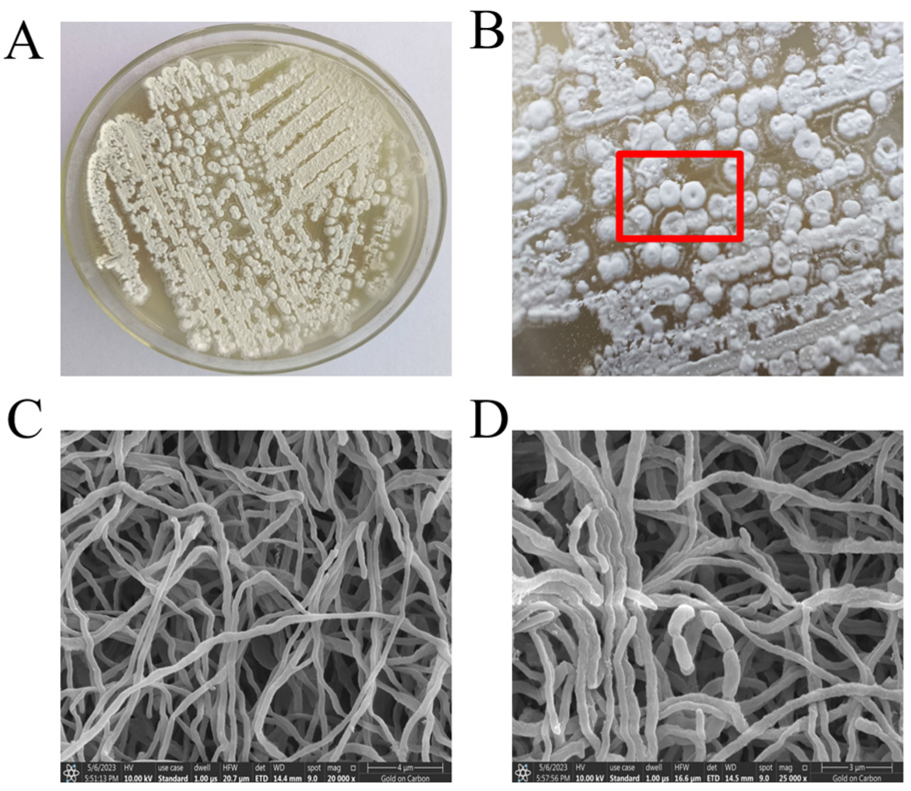 Forests 15 01605 g002