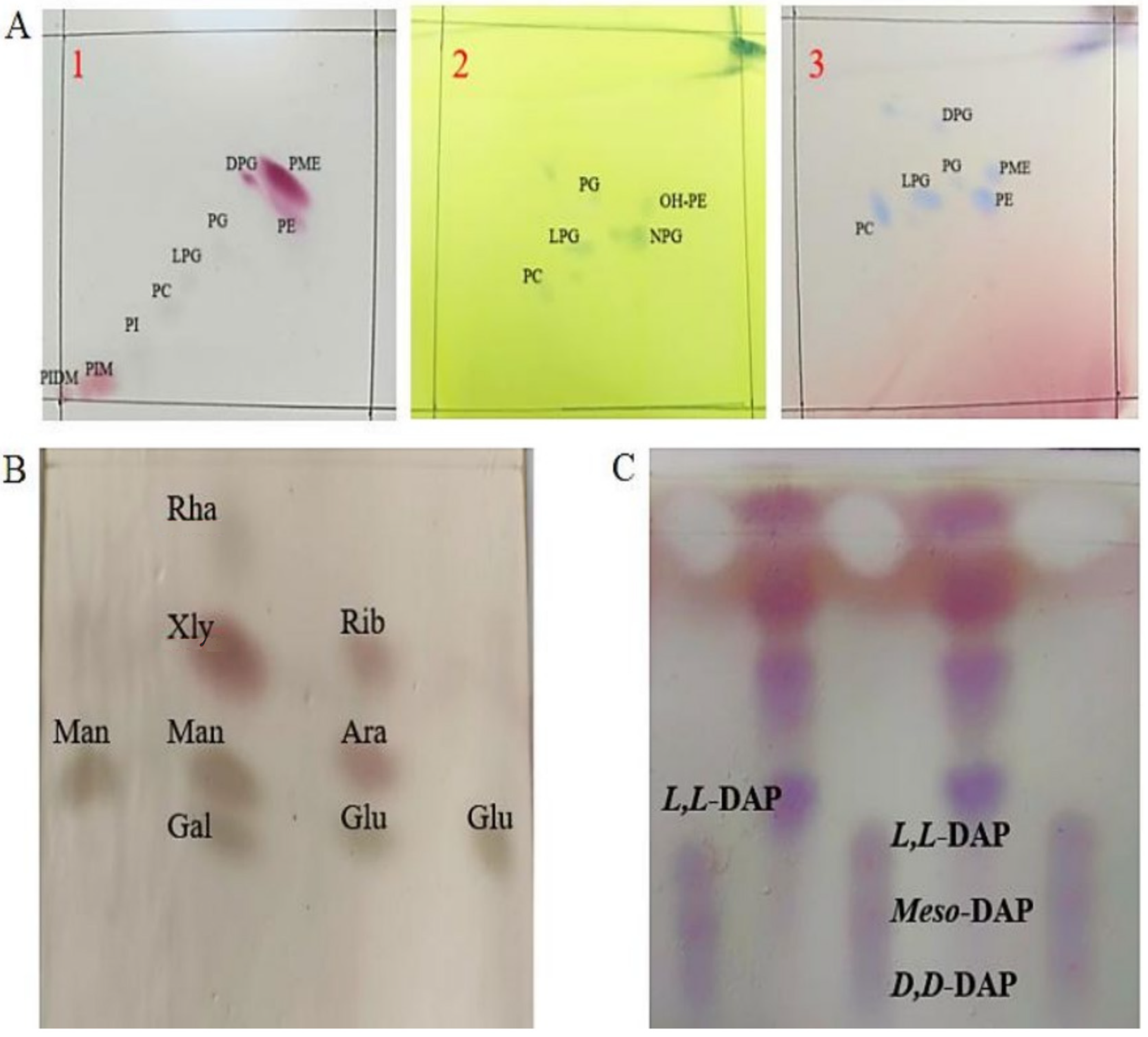 Forests 15 01605 g003