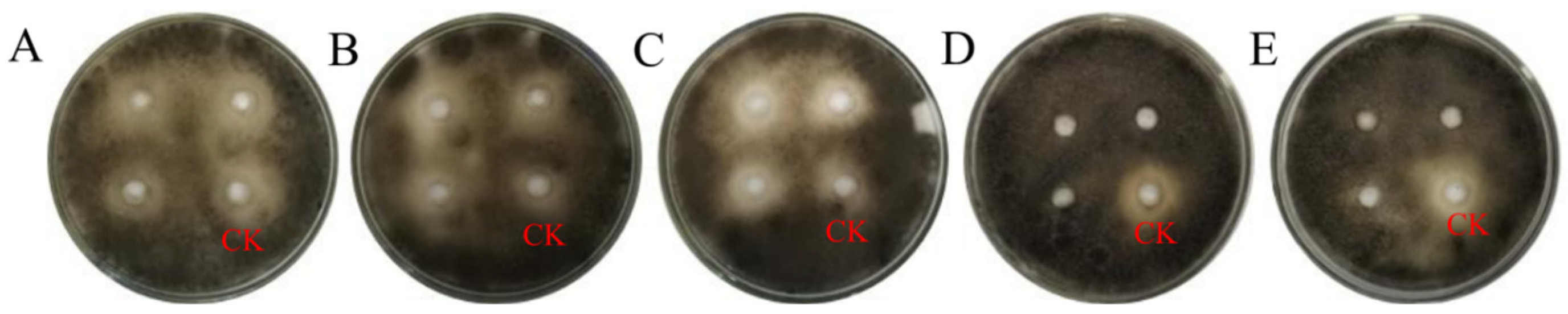 Forests 15 01605 g007