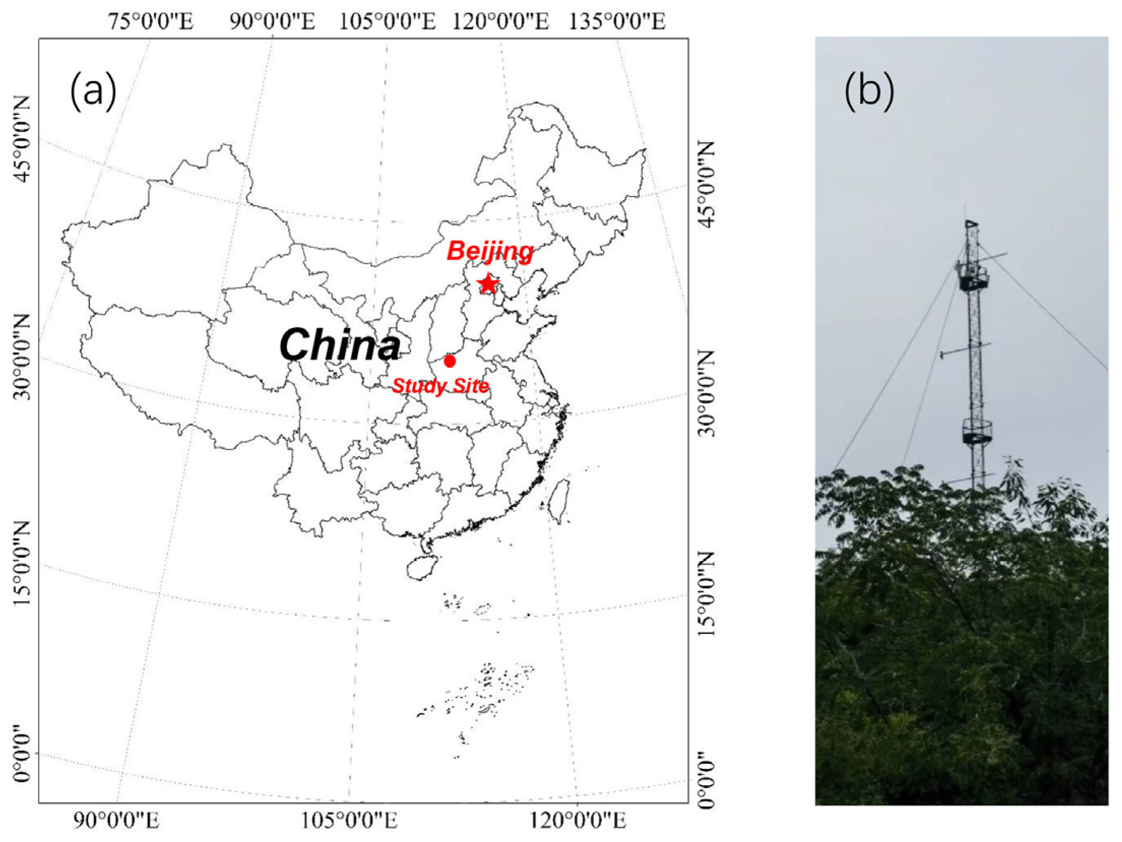 Forests 15 01620 g001