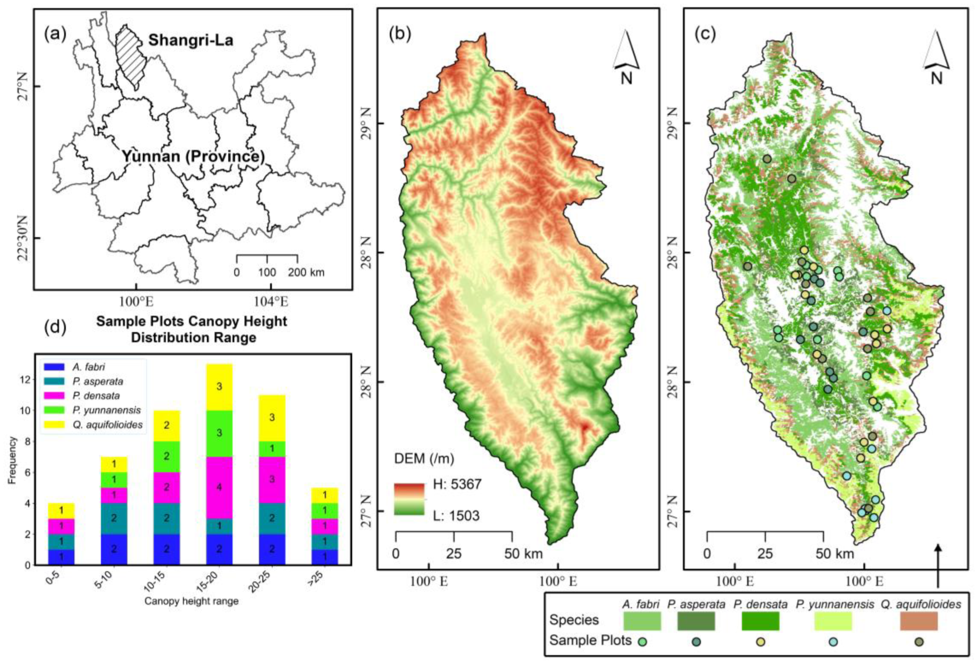 Forests 15 01622 g001