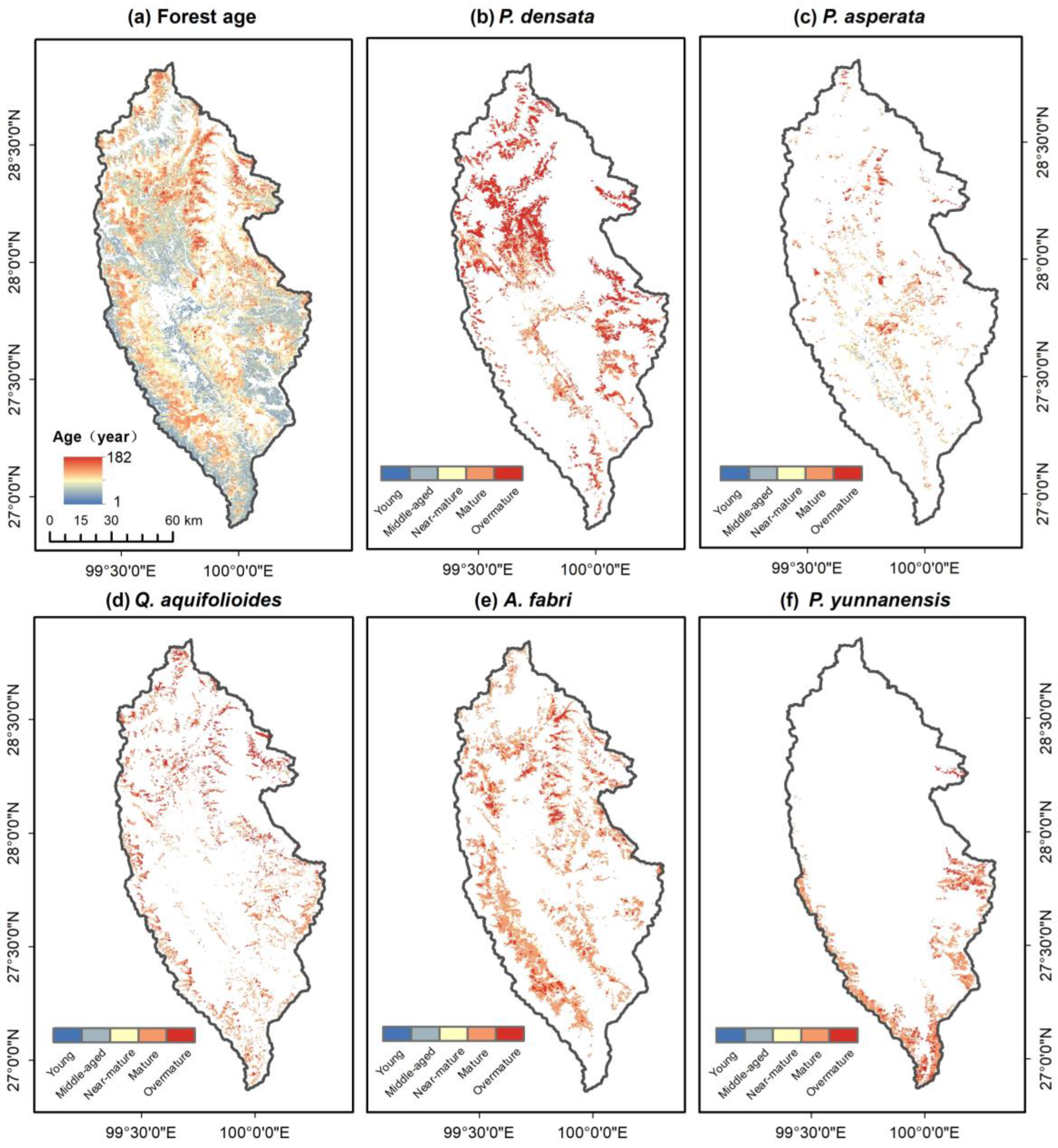 Forests 15 01622 g004