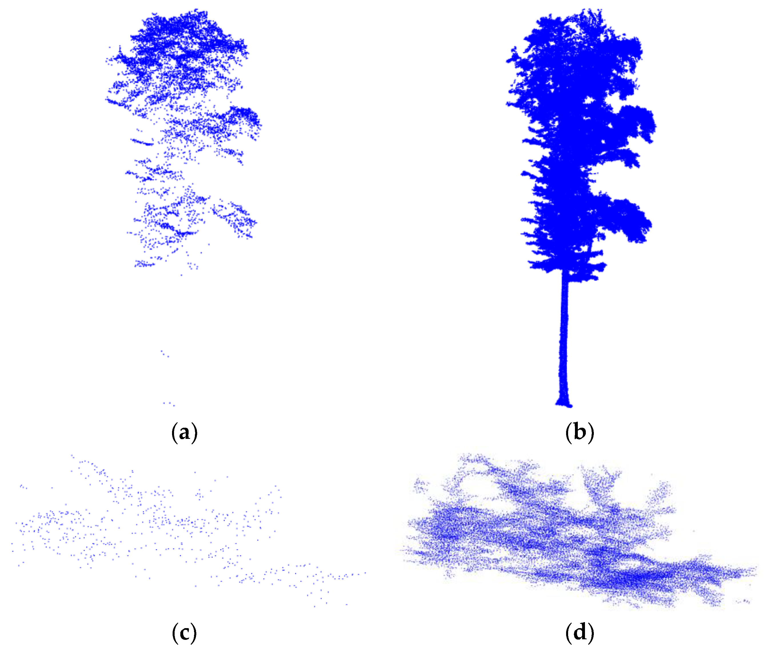 Forests 15 01627 g002