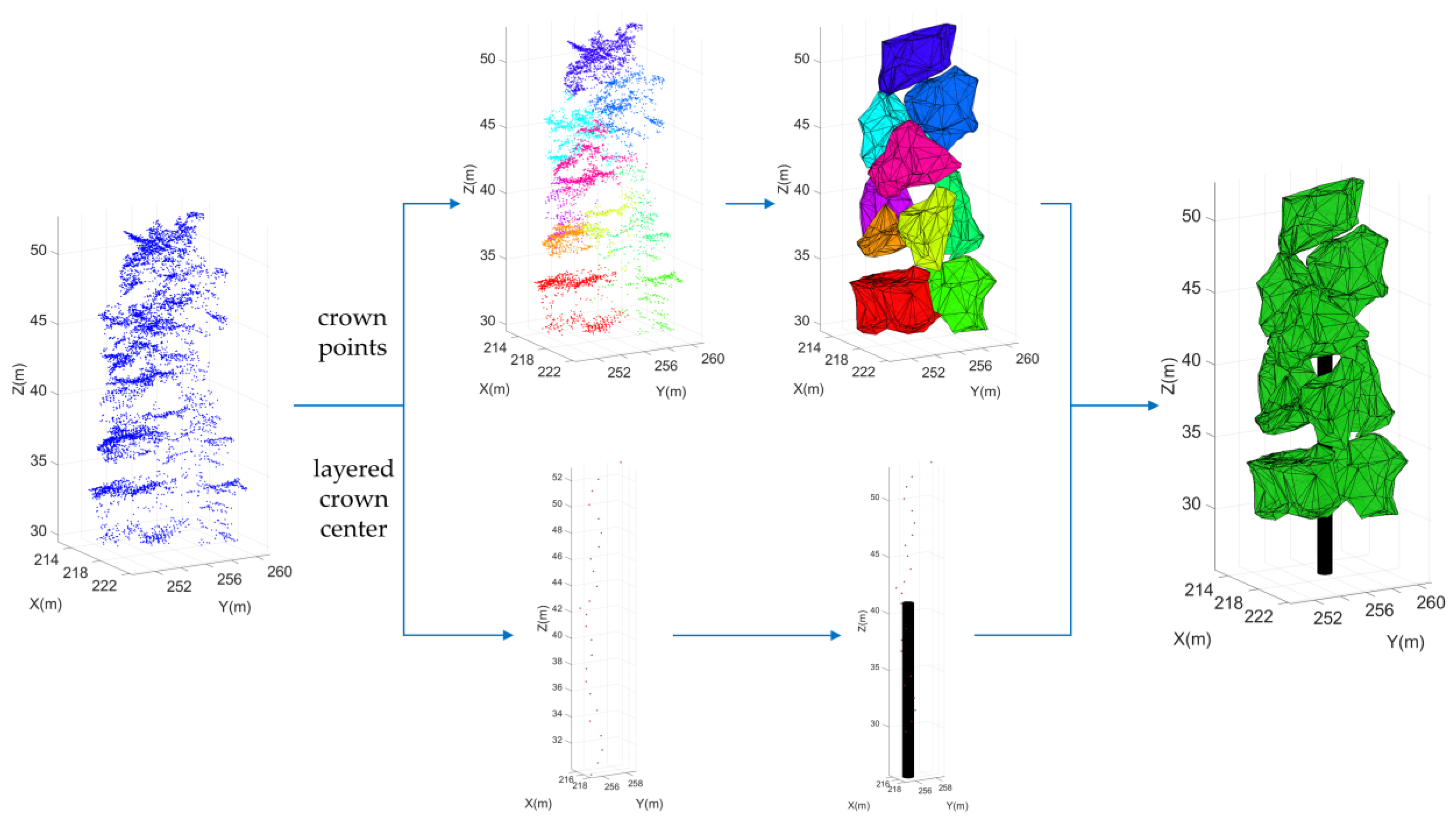 Forests 15 01627 g007