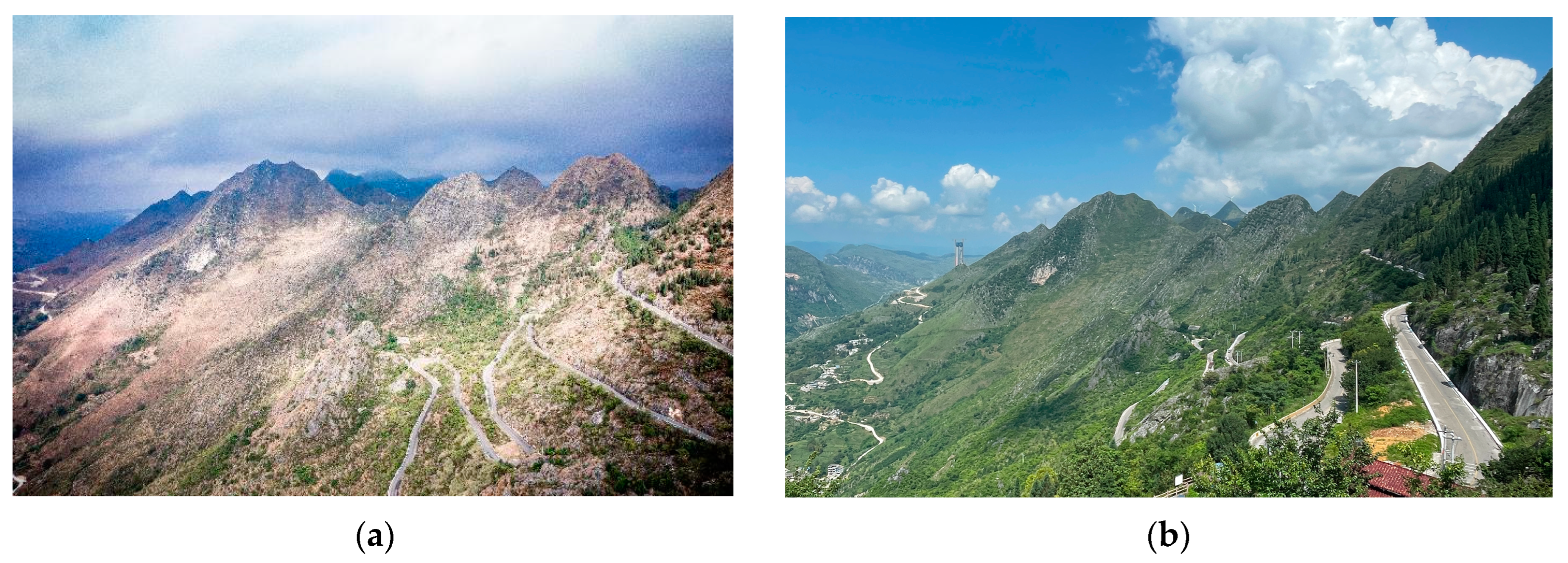 Forests 15 01632 g006