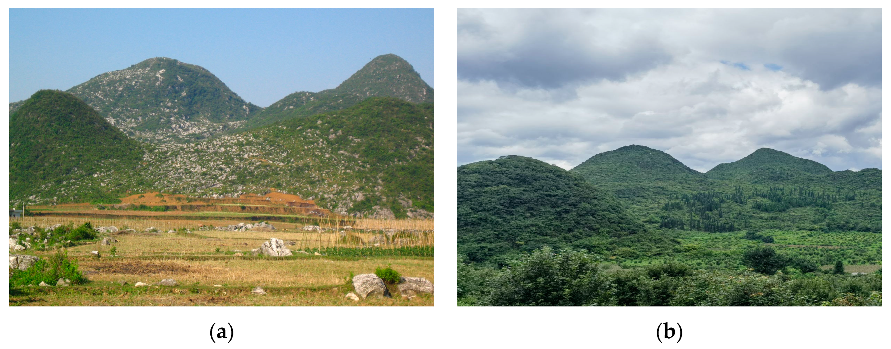 Forests 15 01632 g007