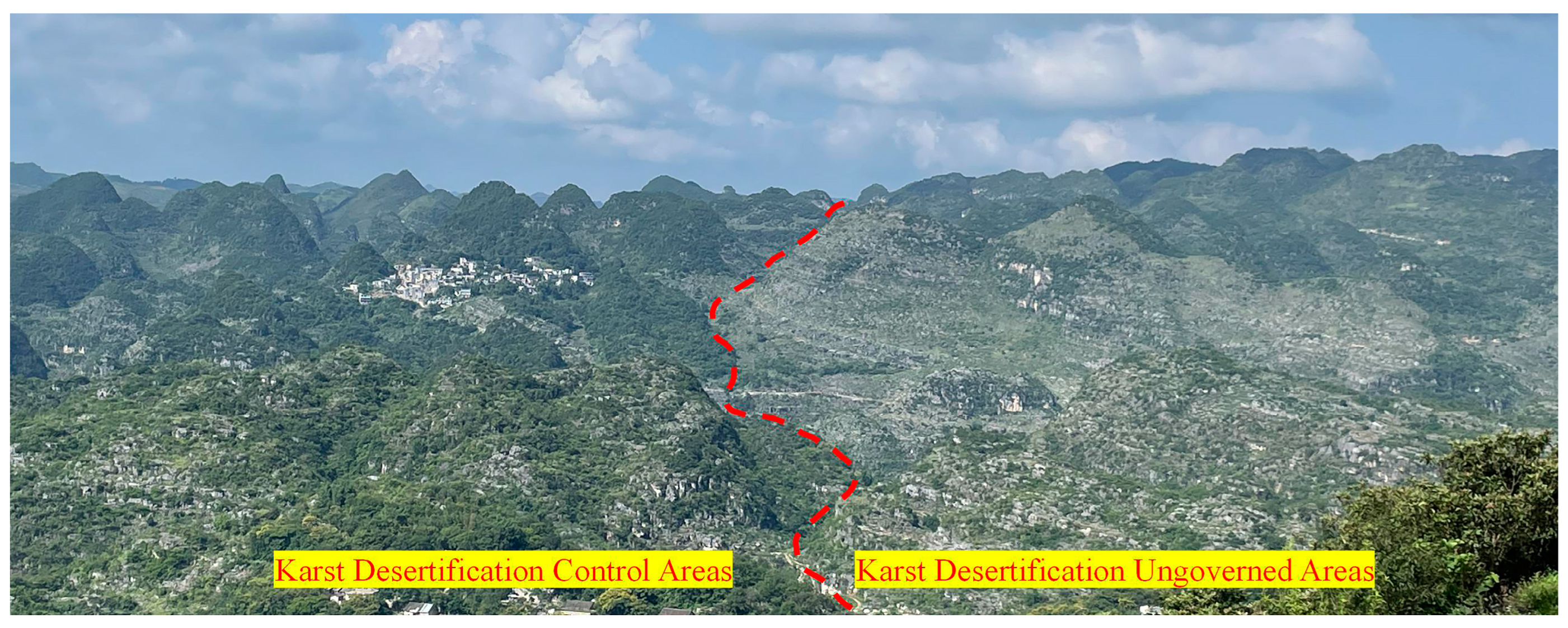 Forests 15 01632 g015