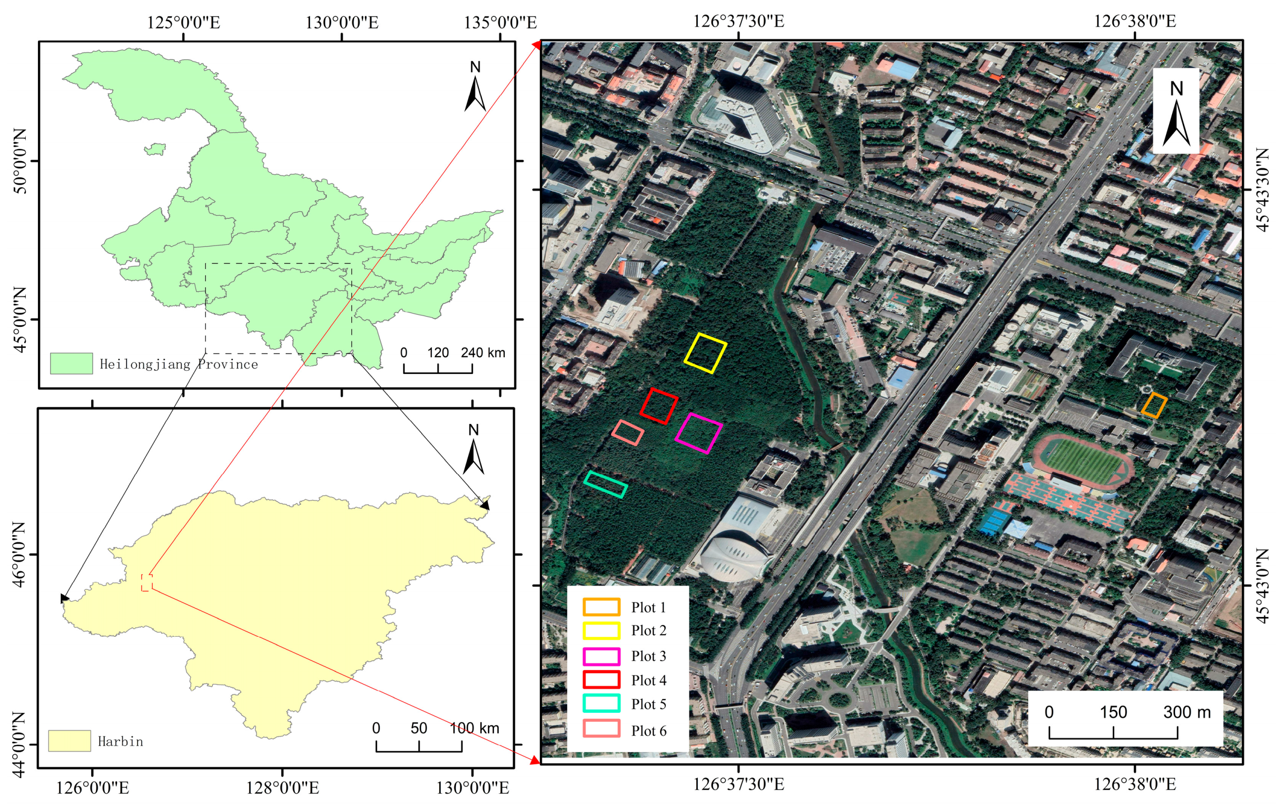 Forests 15 01635 g001