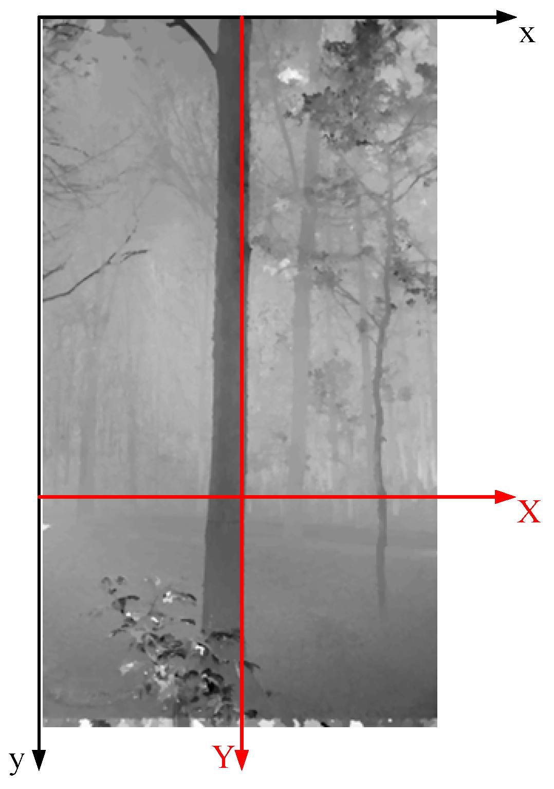 Forests 15 01635 g004