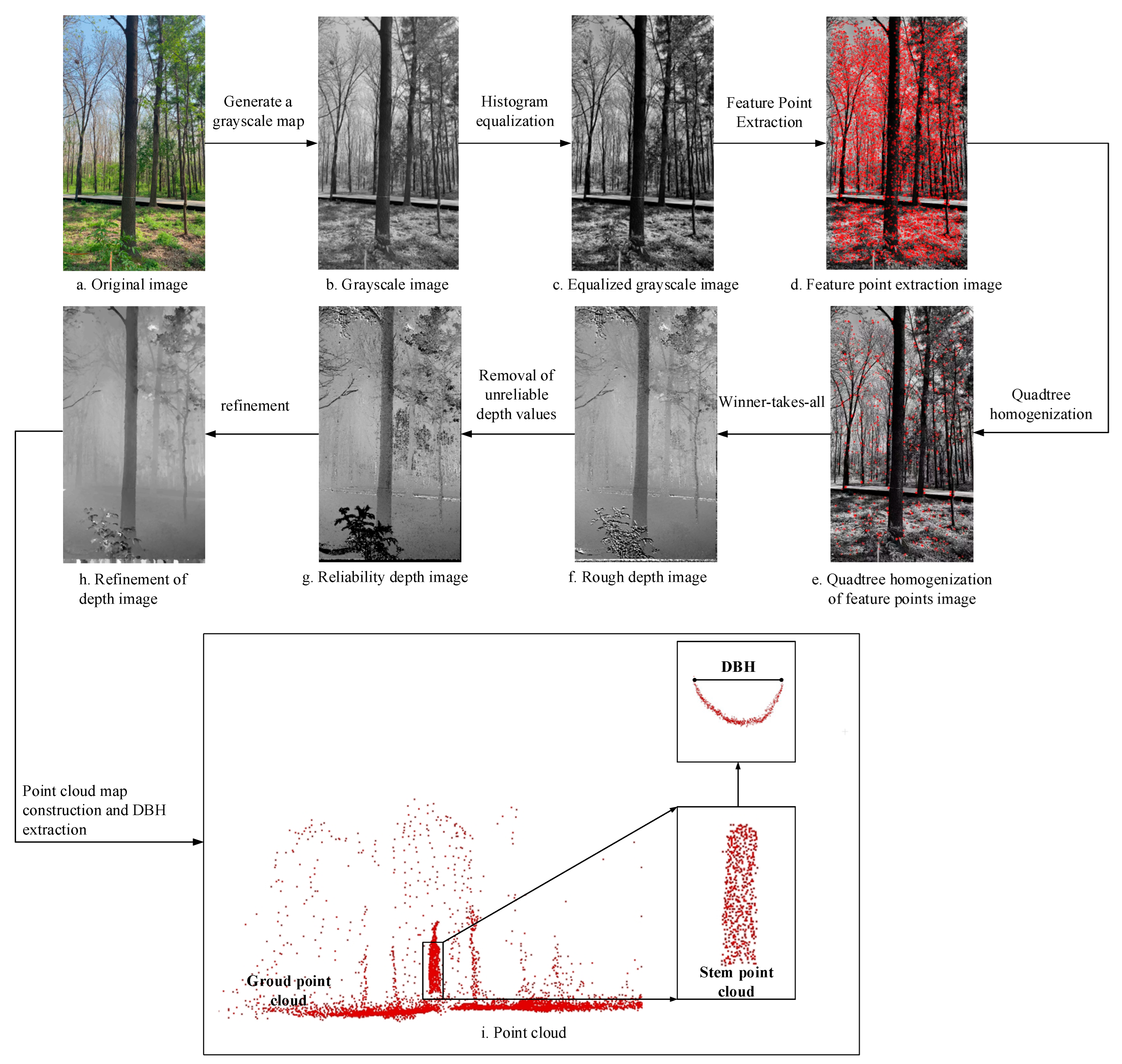 Forests 15 01635 g005
