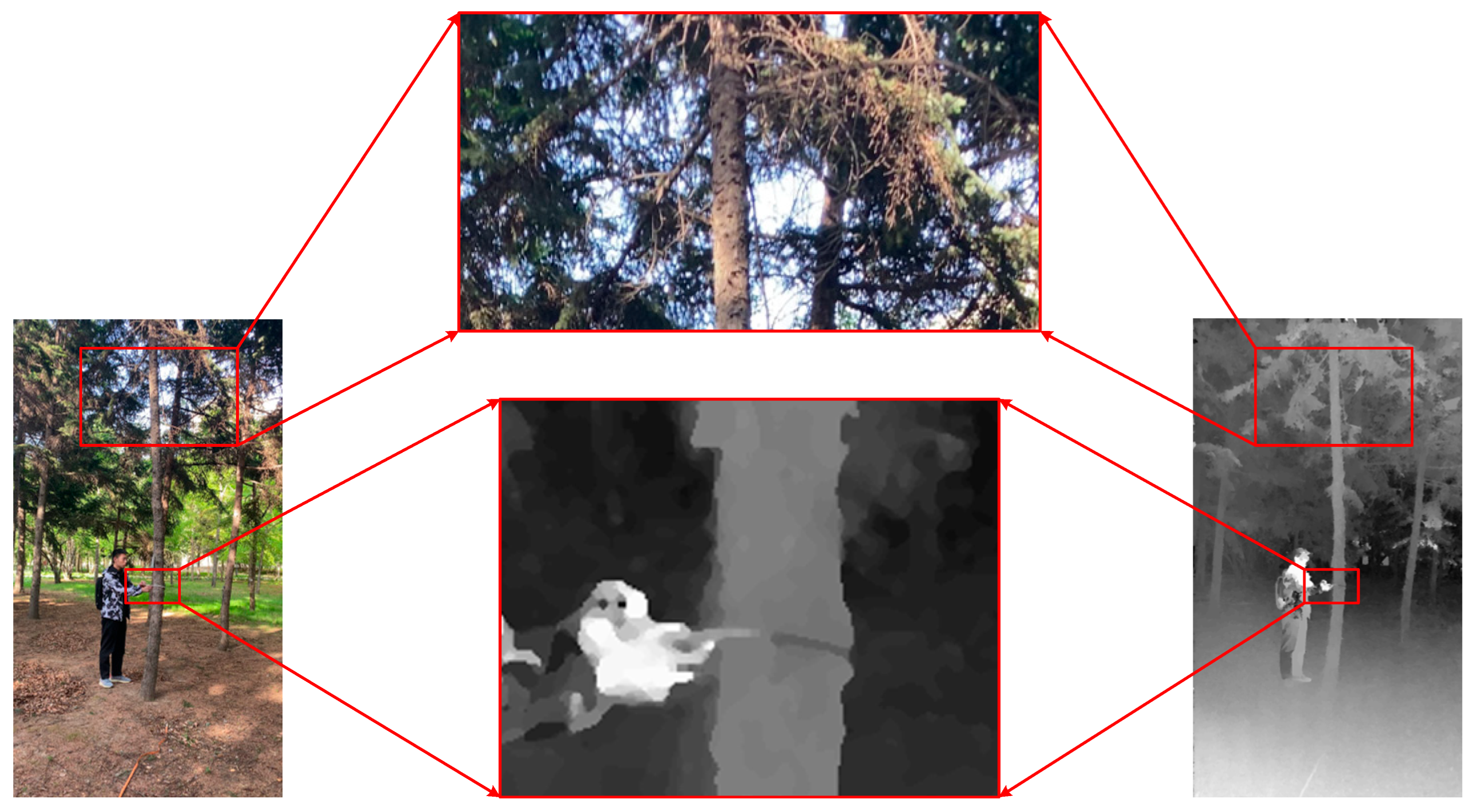 Forests 15 01635 g010