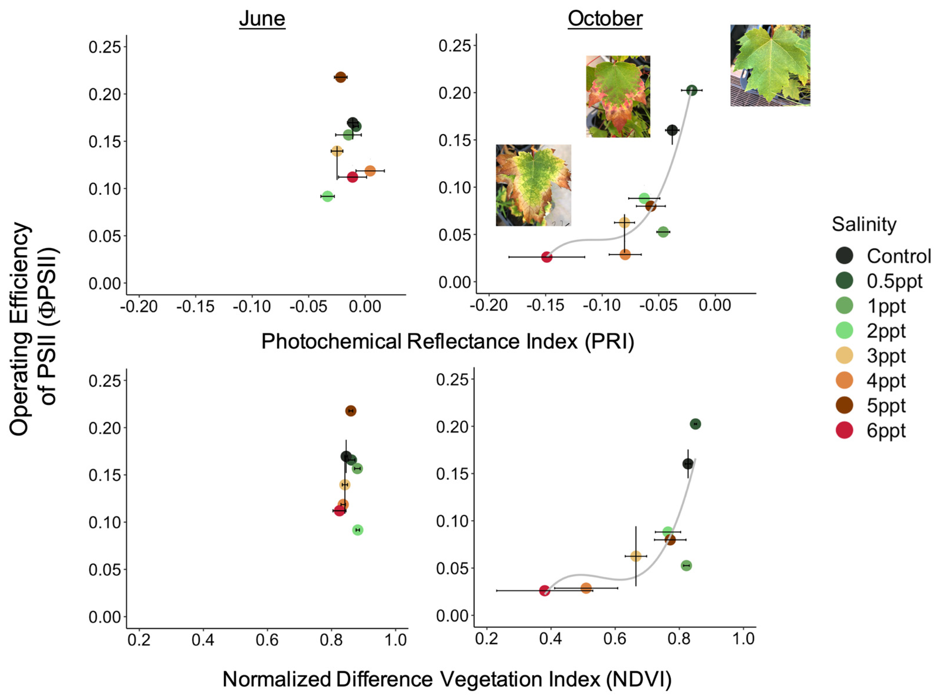 Forests 15 01638 g0a10