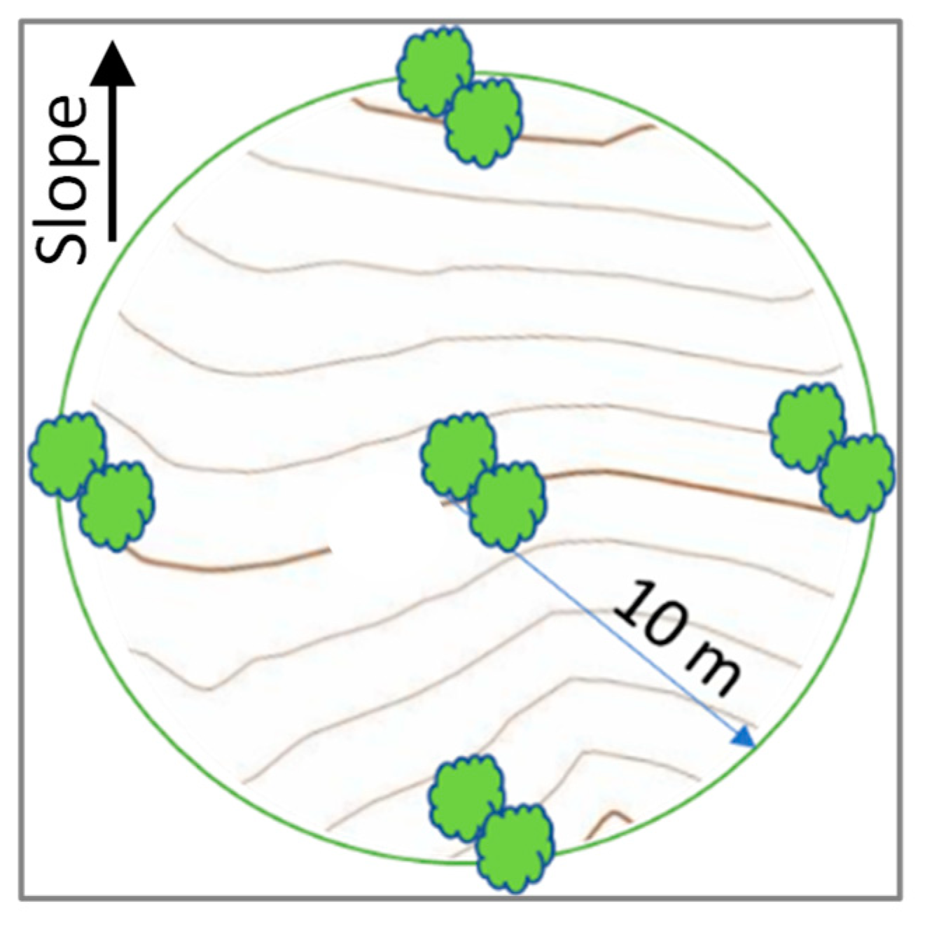 Forests 15 01639 g002 Forests 15 01639 g002