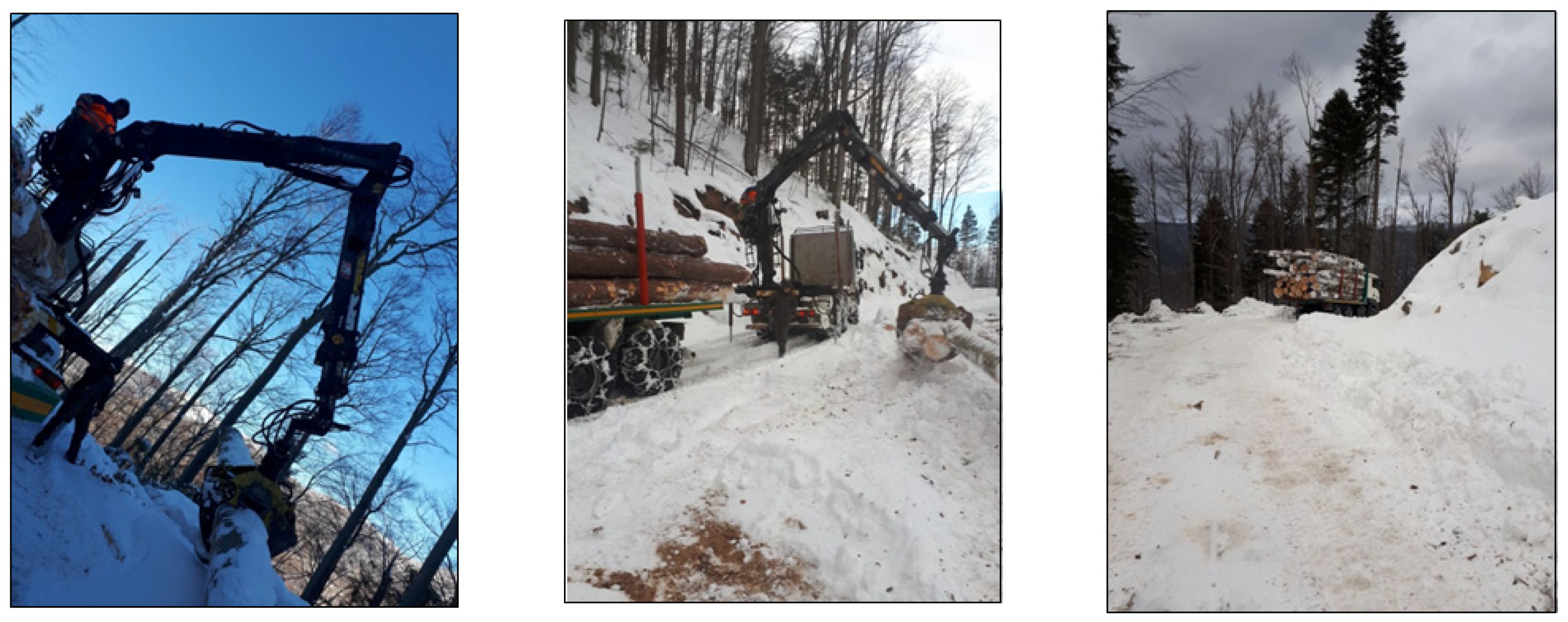 Forests 15 01646 g003