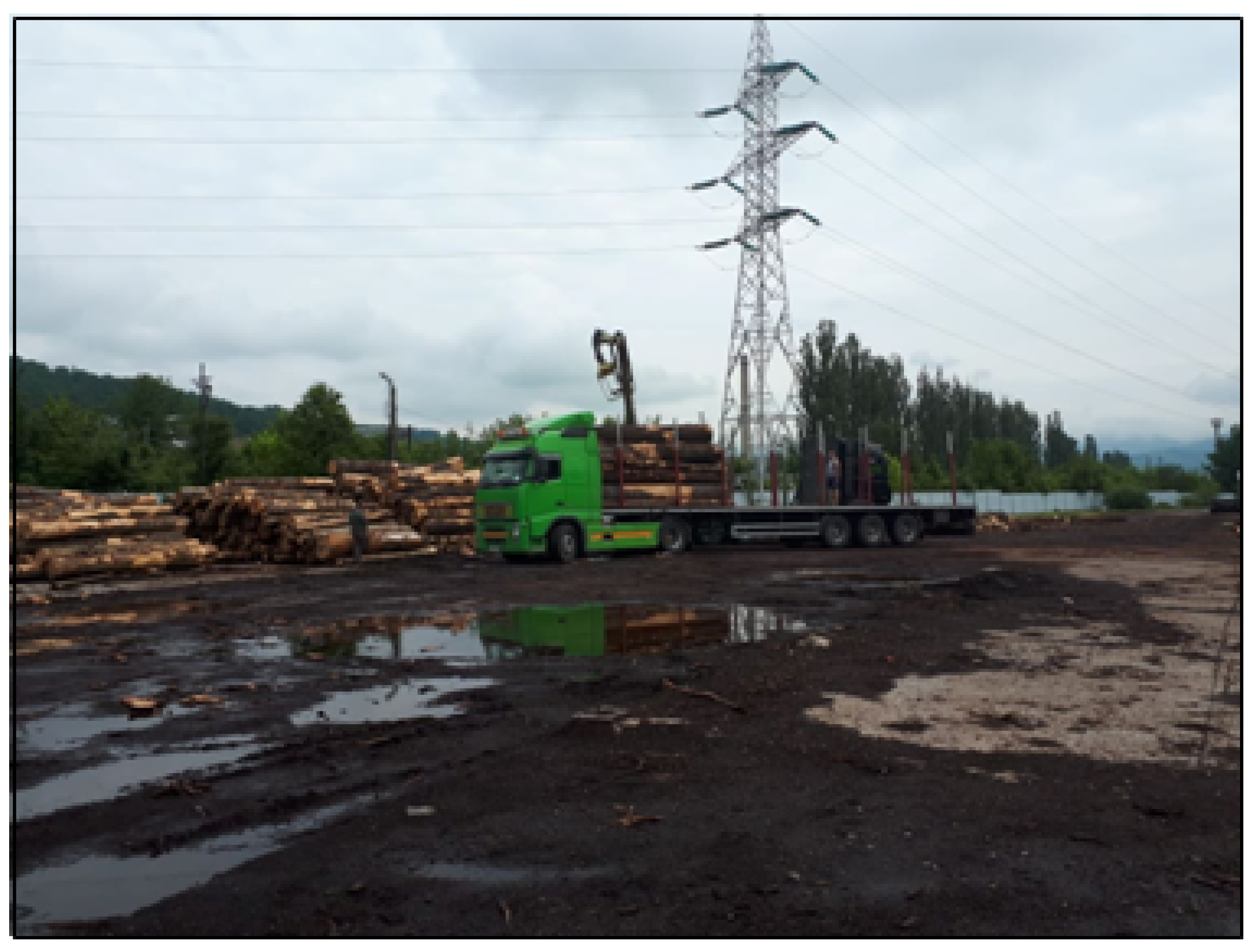 Forests 15 01646 g004