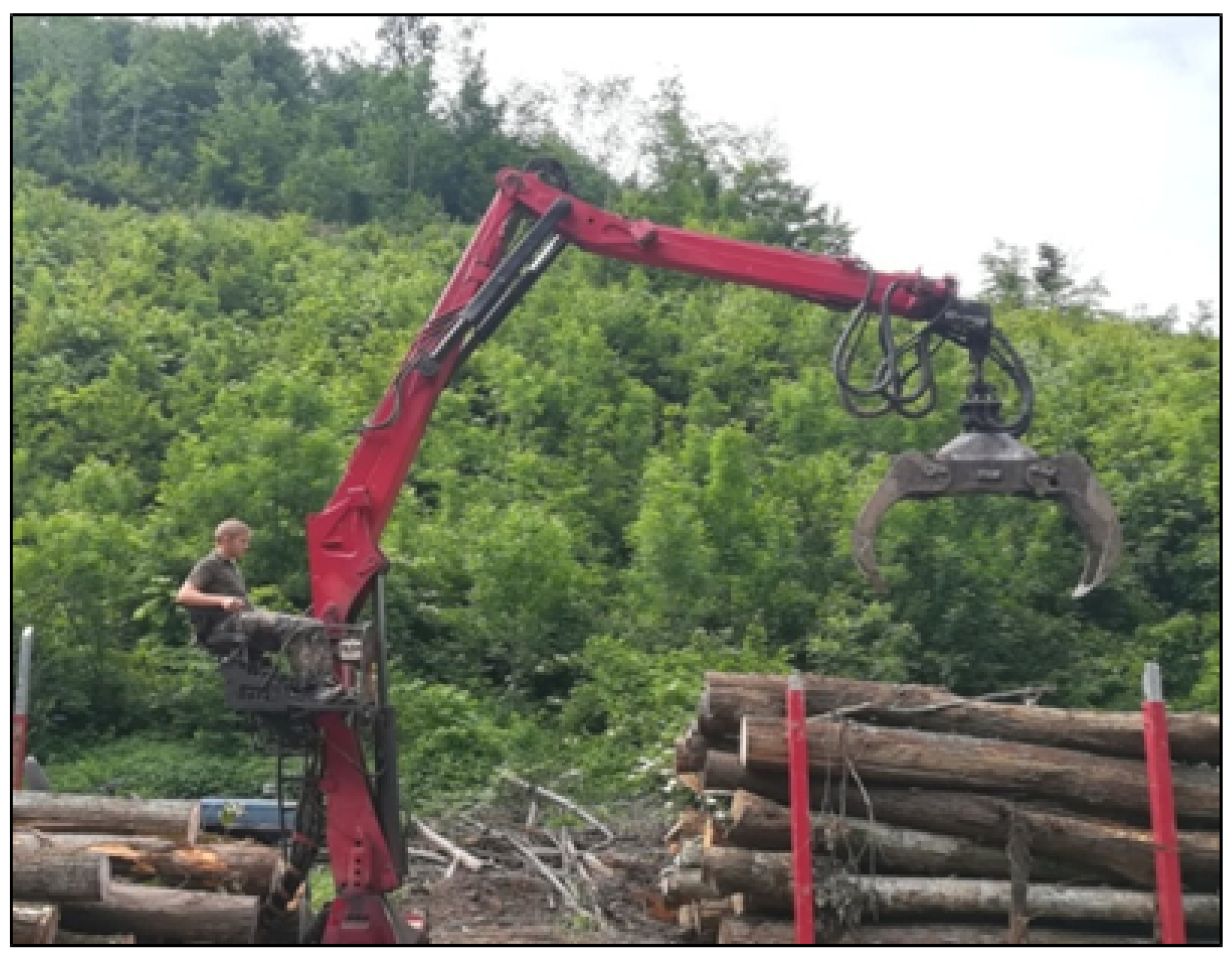 Forests 15 01646 g005