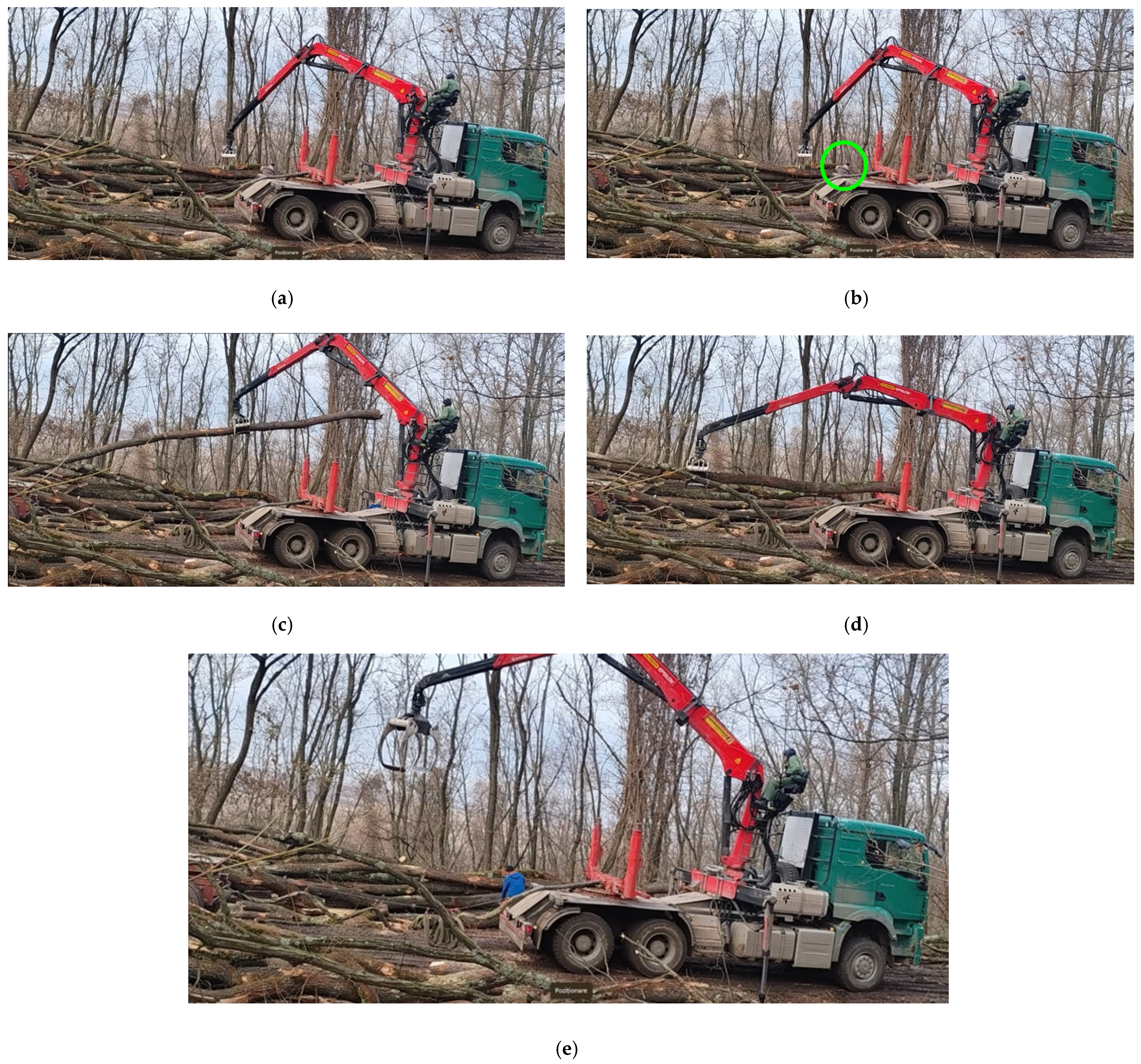 Forests 15 01646 g019