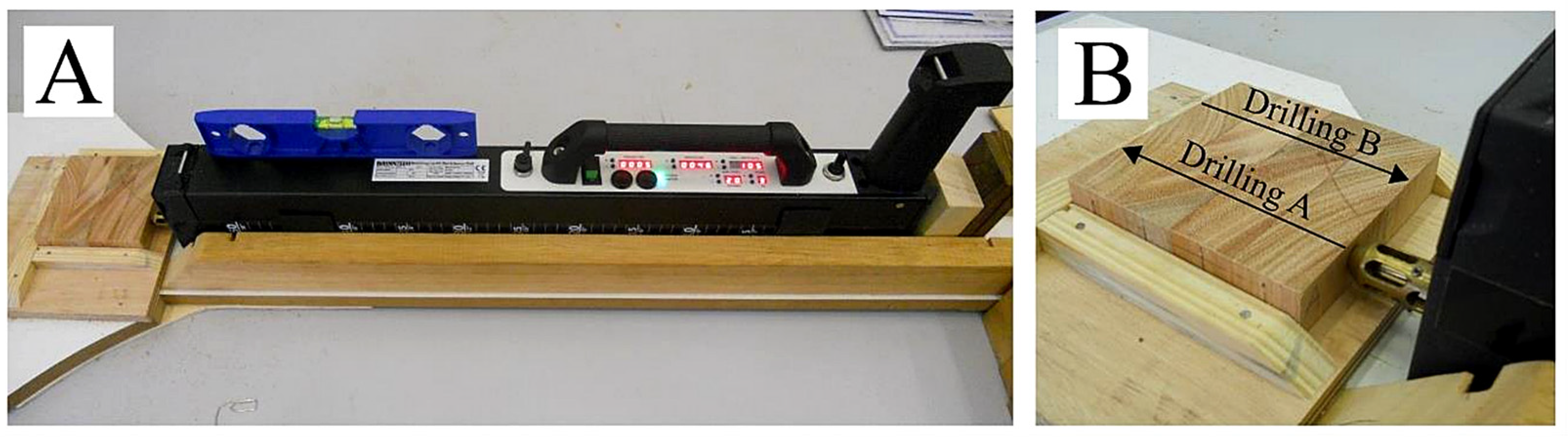 Forests 15 01658 g003 Forests 15 01658 g003