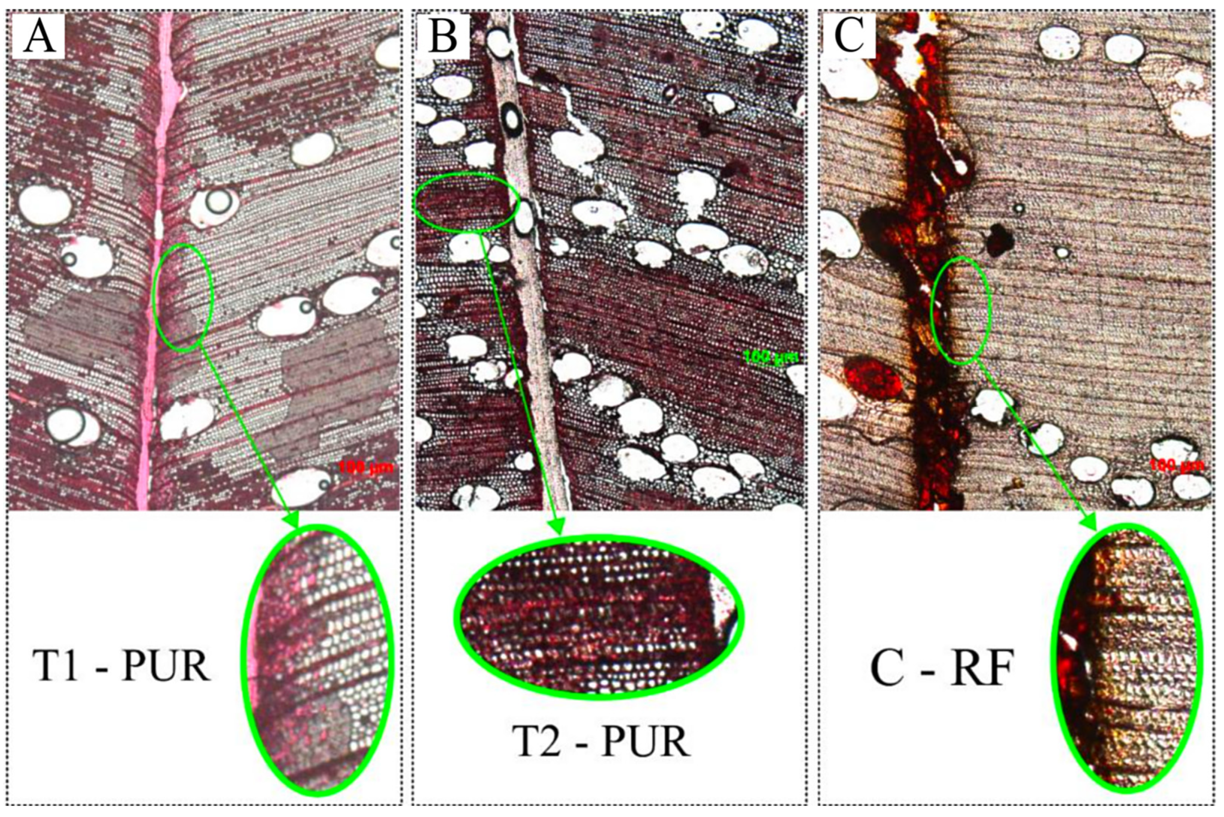 Forests 15 01658 g004 Forests 15 01658 g004