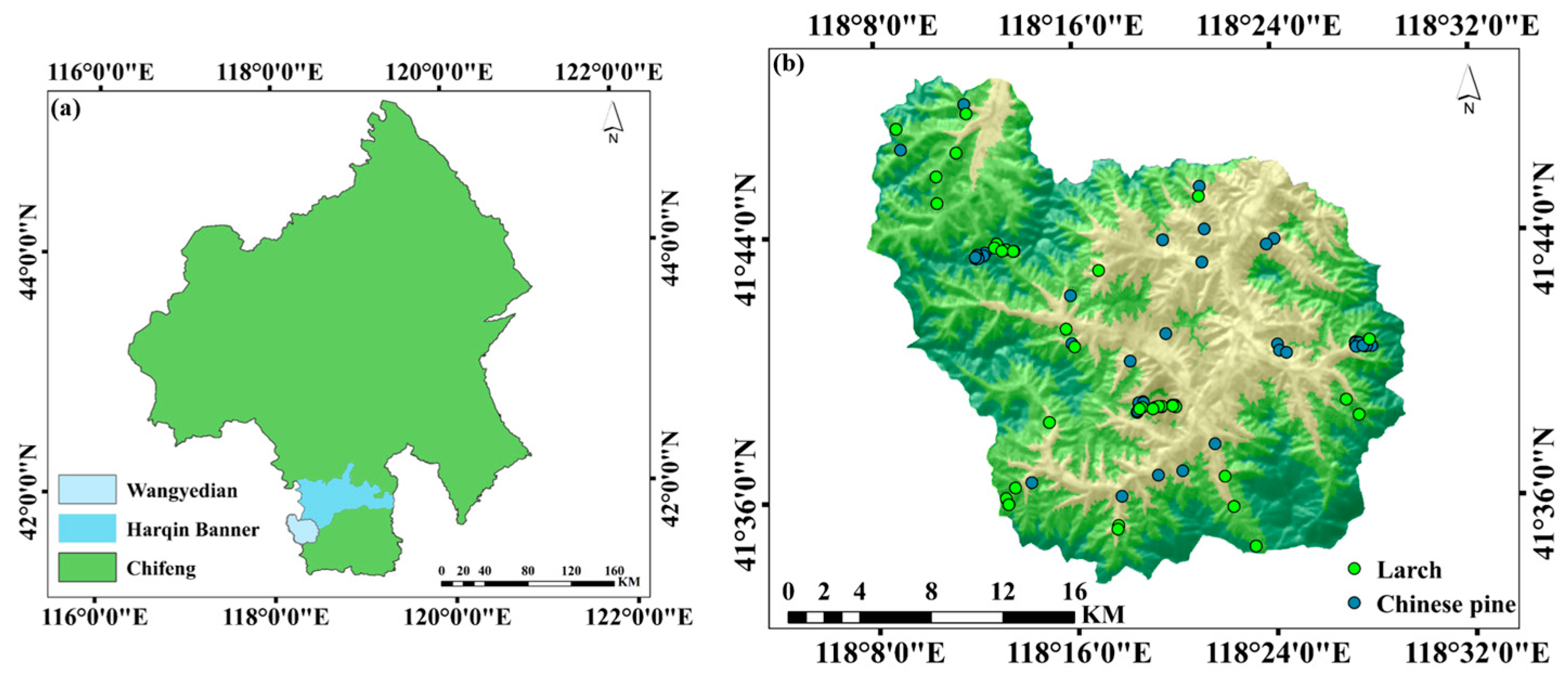 Forests 15 01660 g001