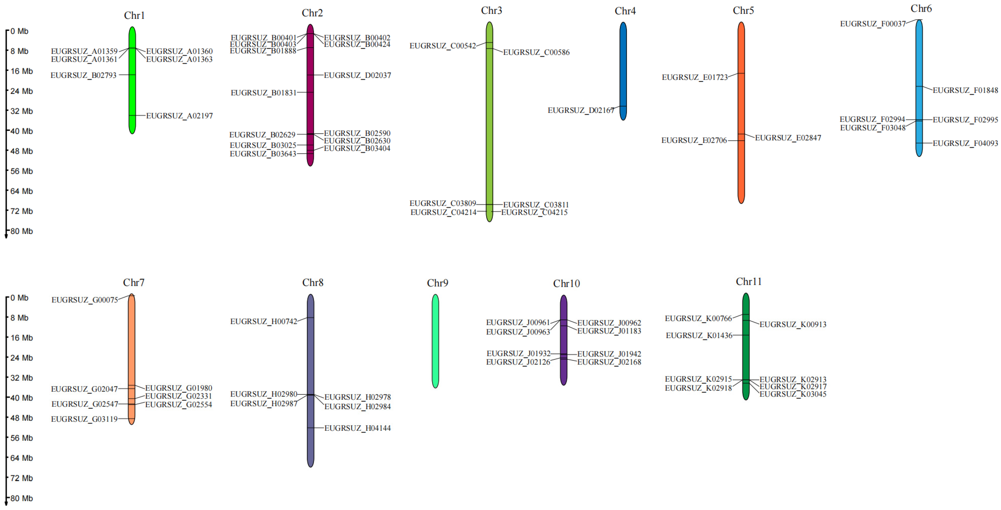 Forests 15 01697 g001
