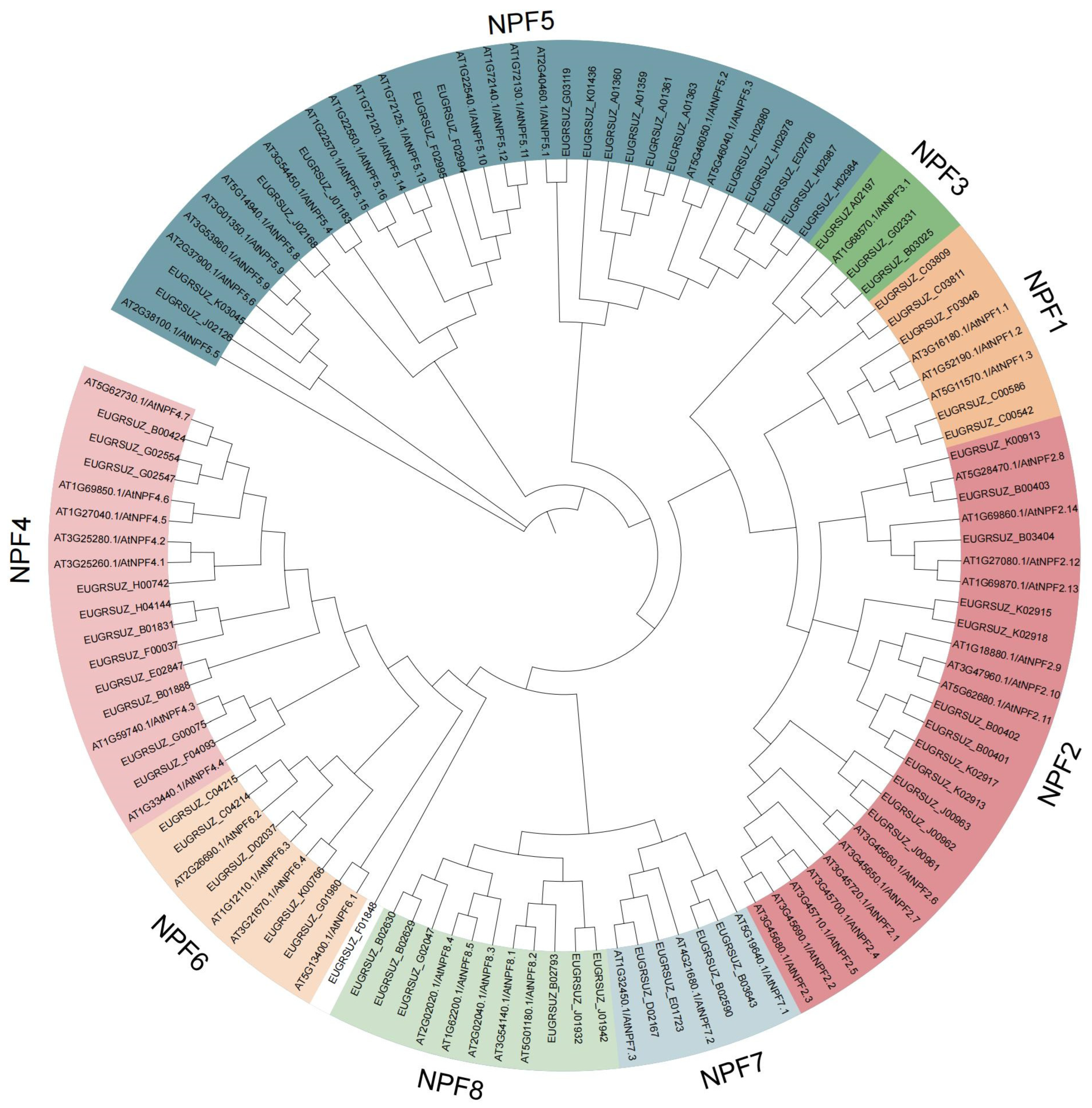 Forests 15 01697 g004