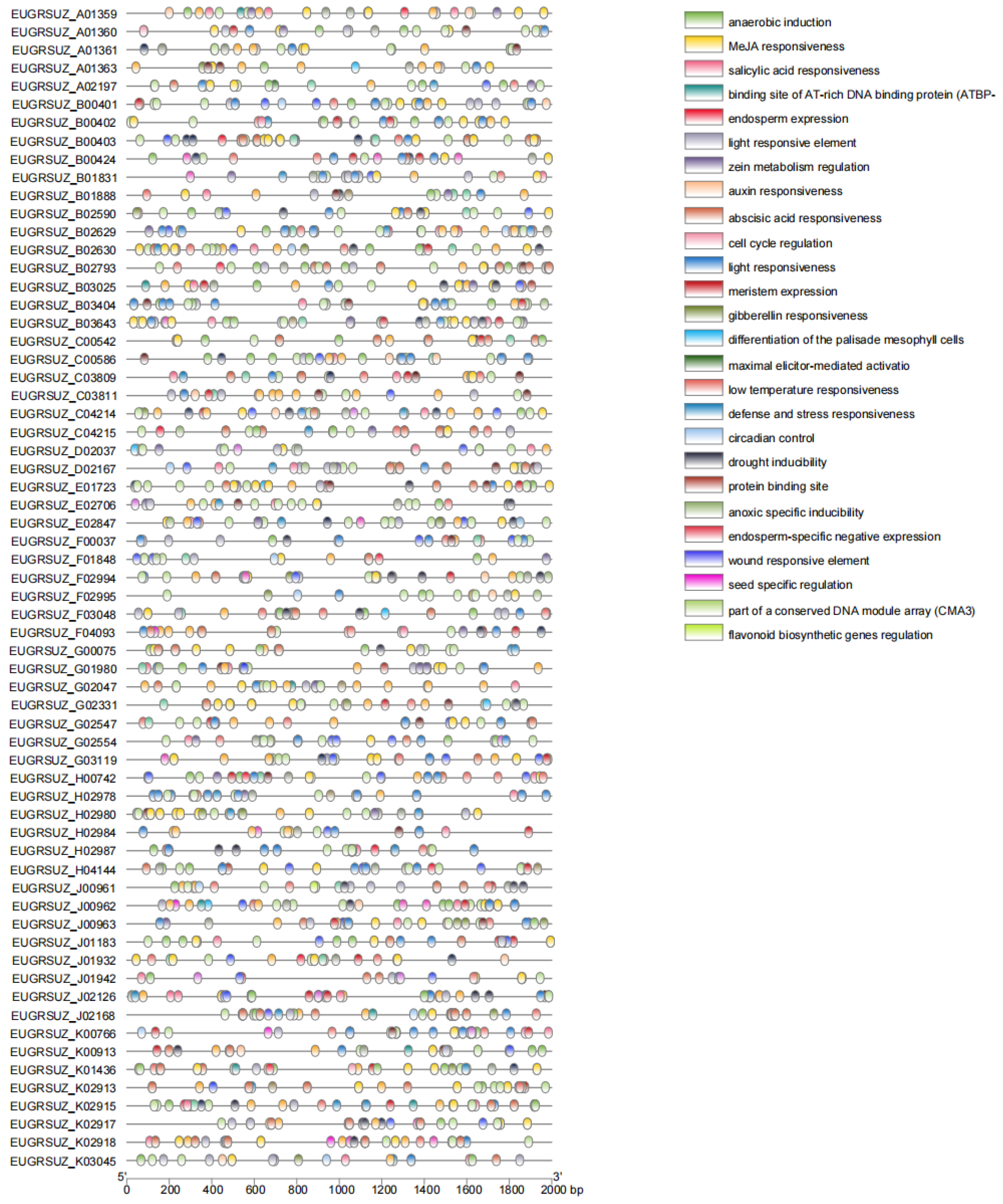 Forests 15 01697 g006