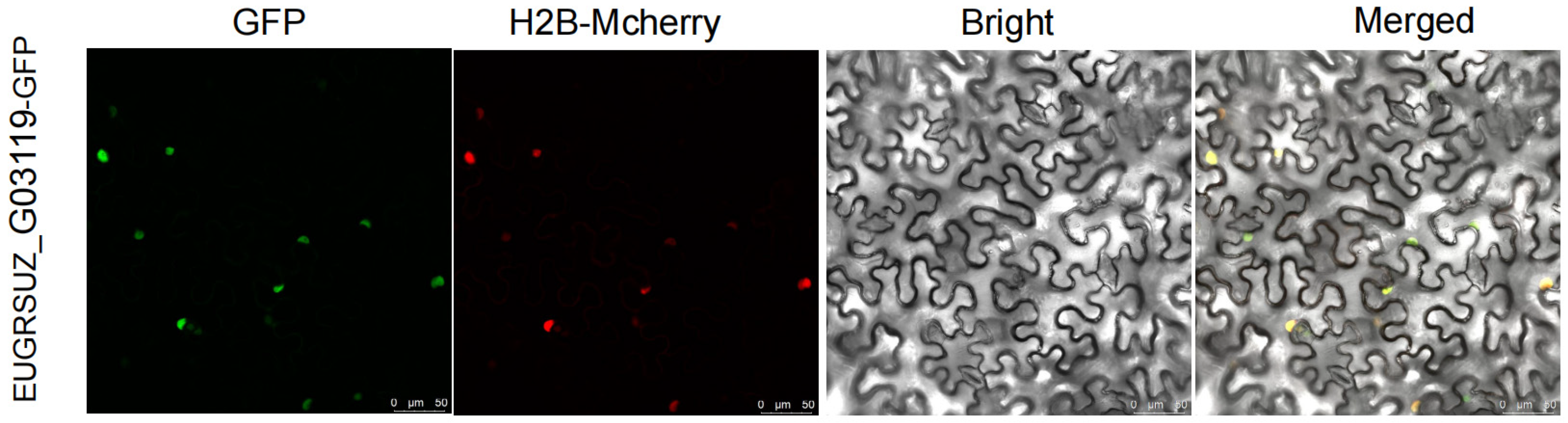 Forests 15 01697 g009