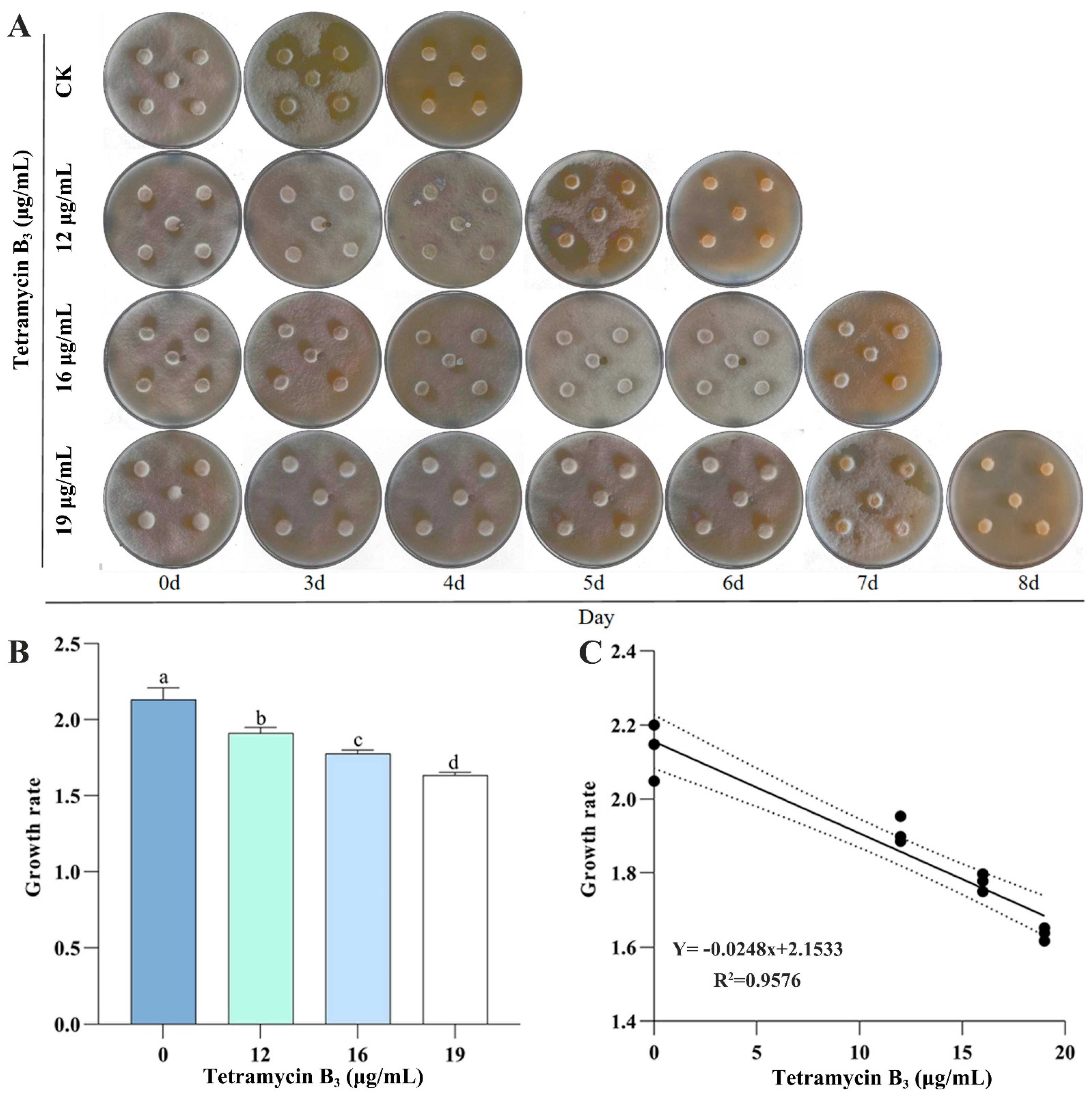 Forests 15 01699 g001