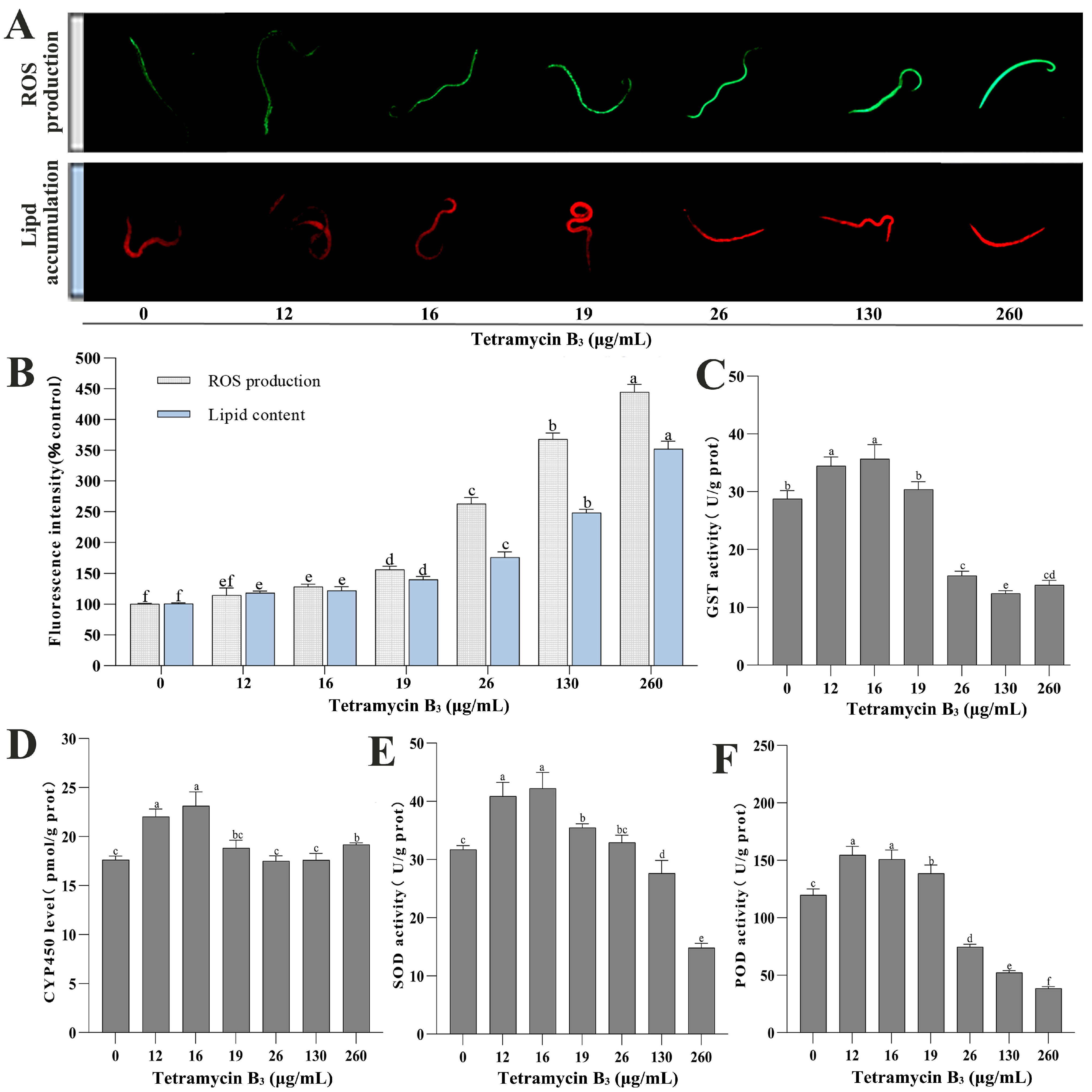 Forests 15 01699 g002