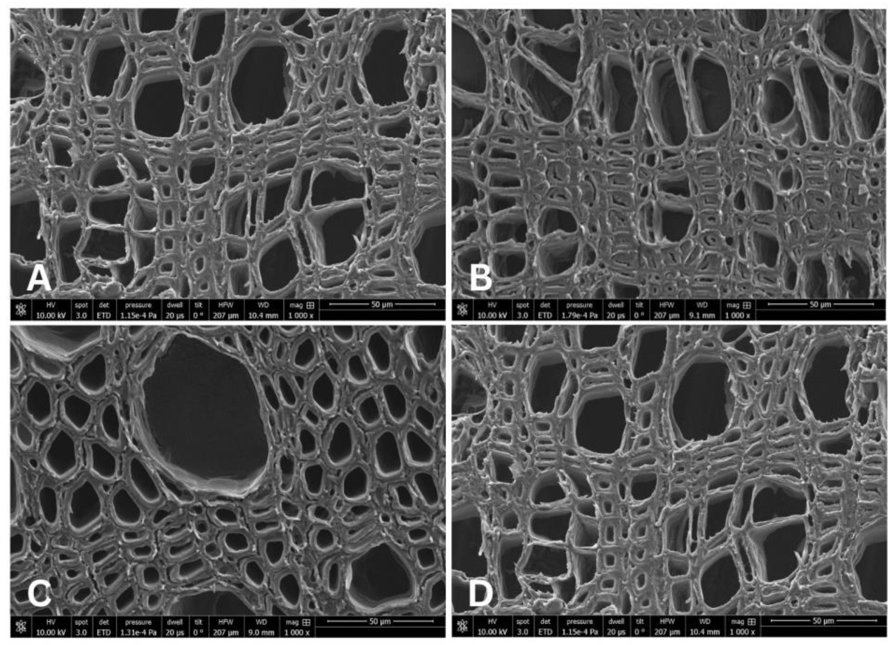 Forests 15 01707 g004