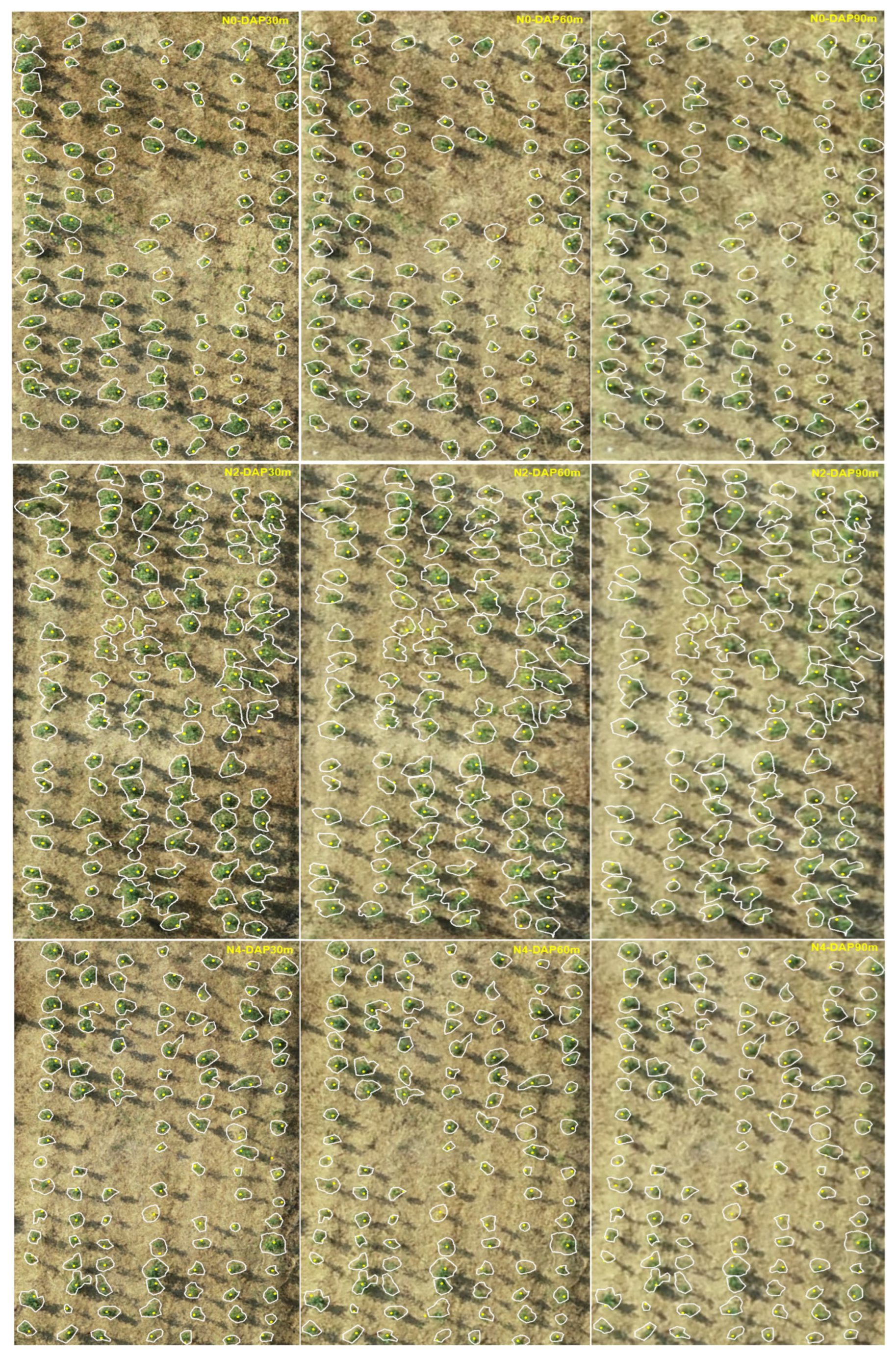 Forests 15 01720 g005 Forests 15 01720 g005