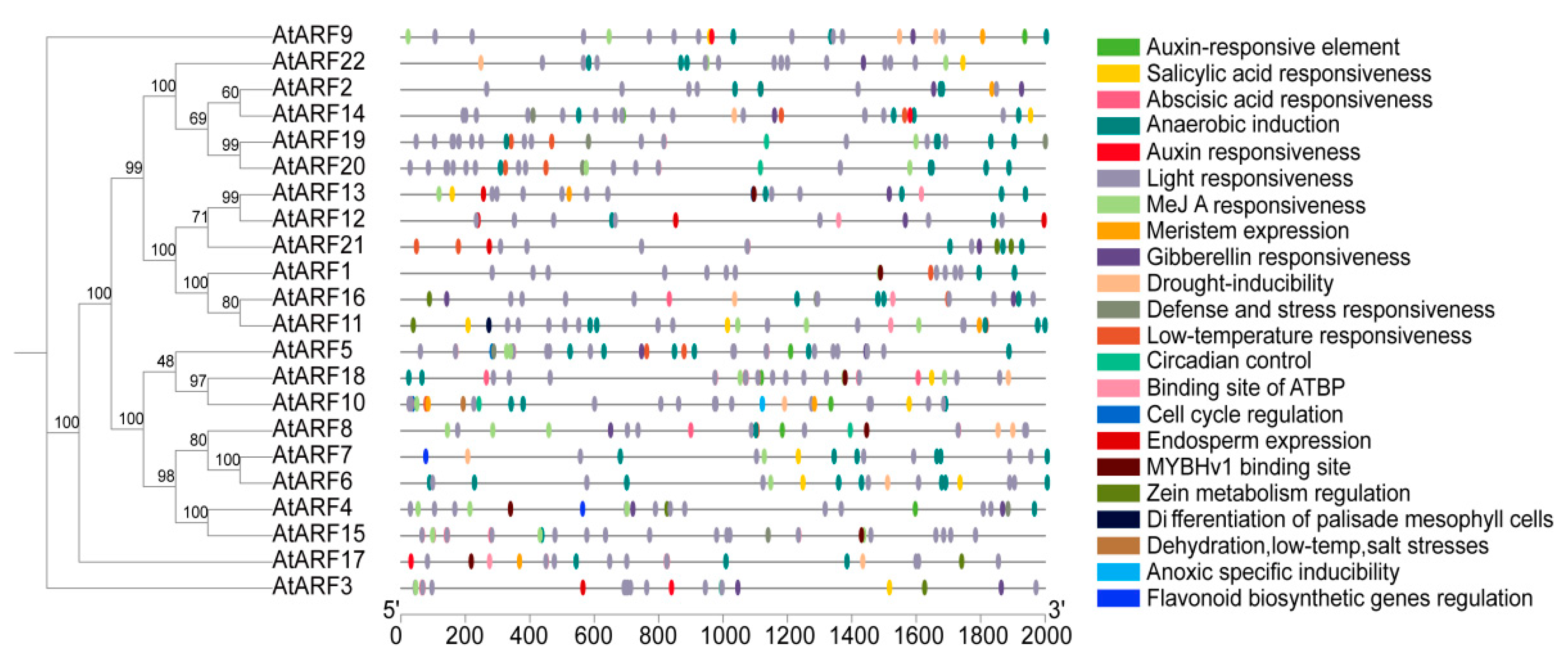 Forests 15 01723 g005