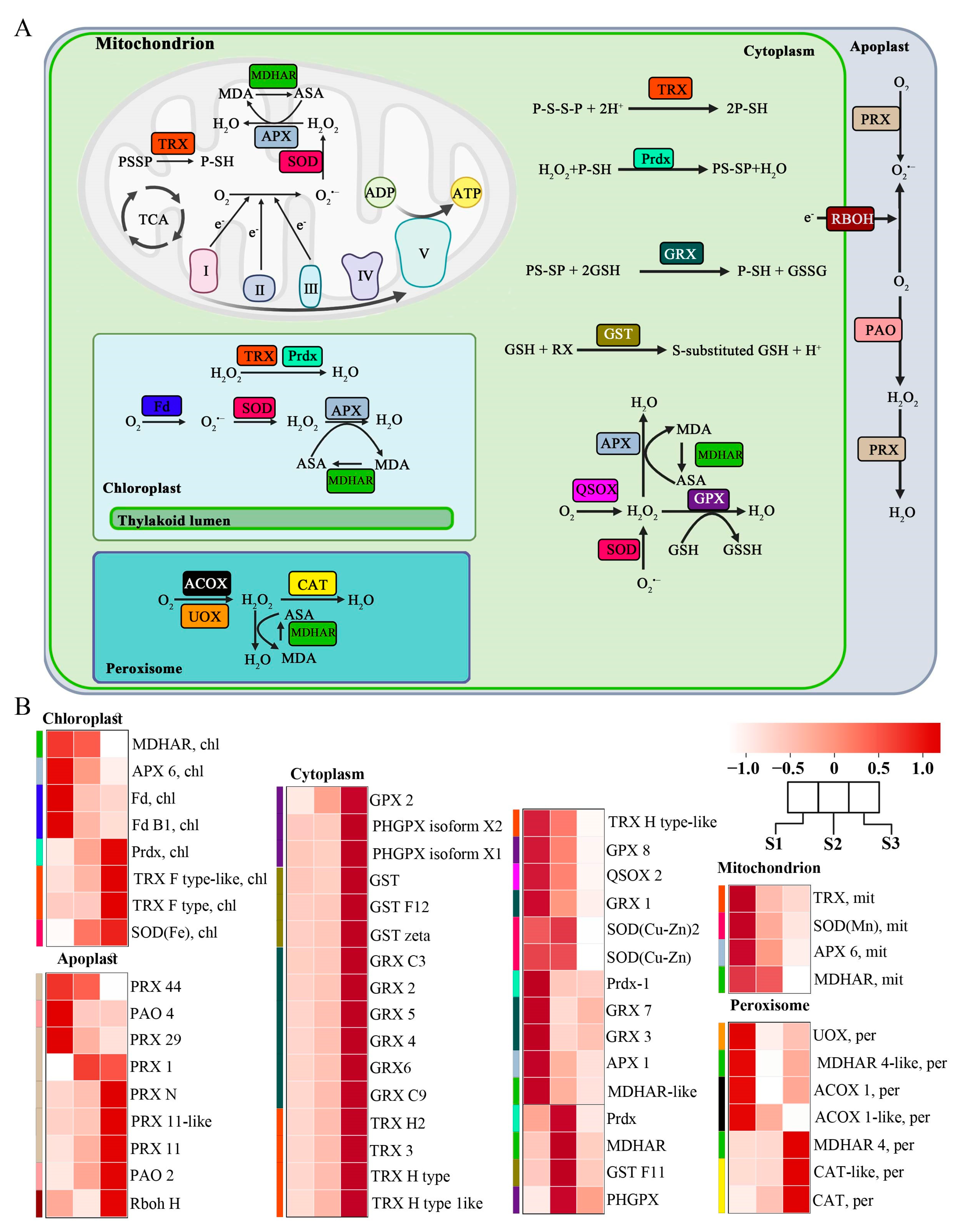 Forests 15 01735 g003