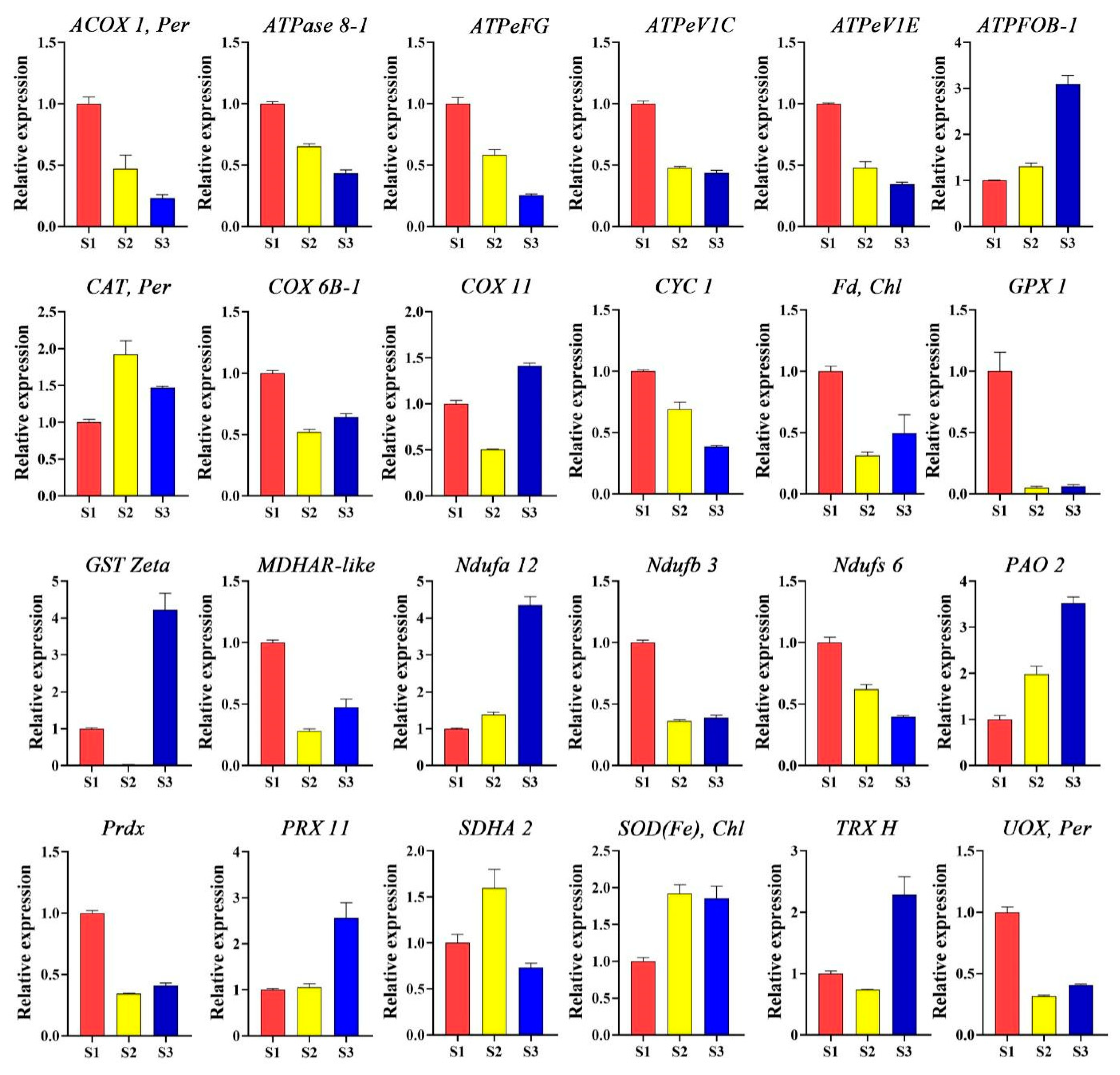 Forests 15 01735 g004