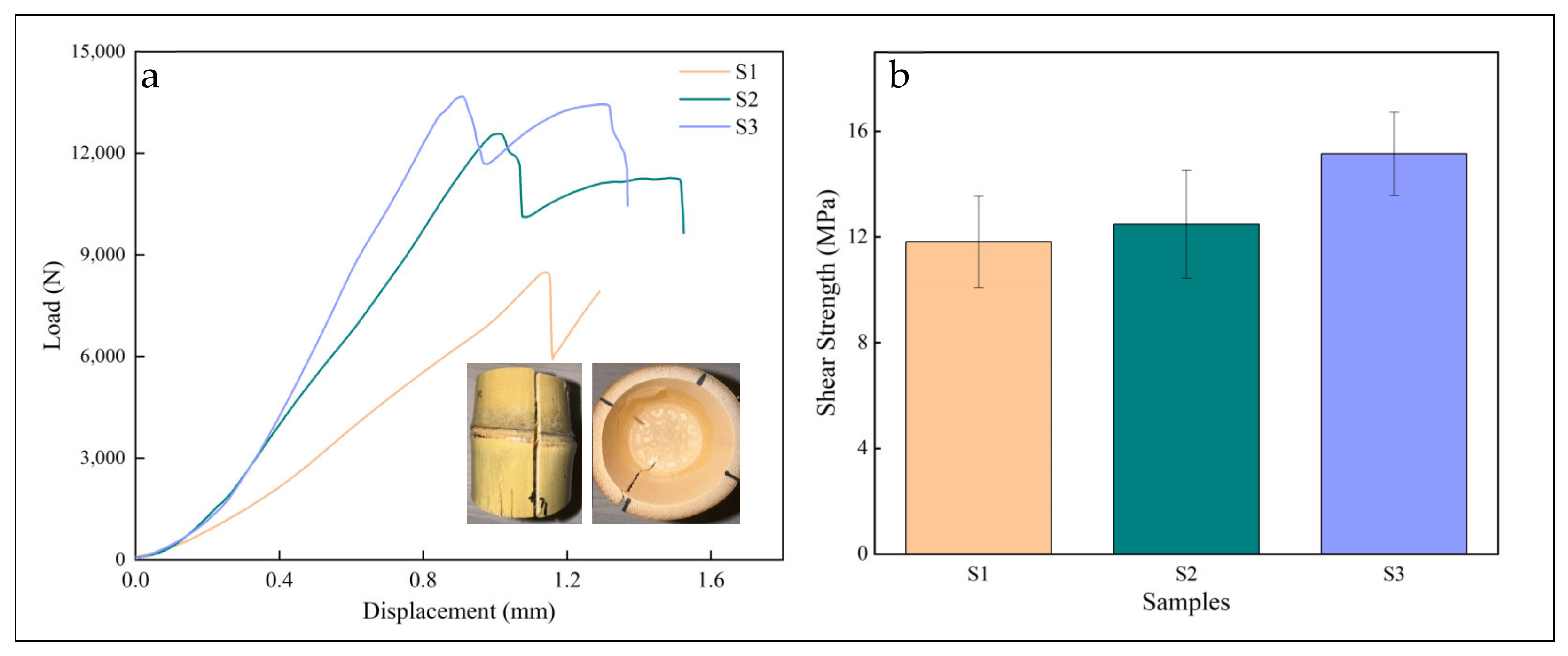 Forests 15 01740 g003