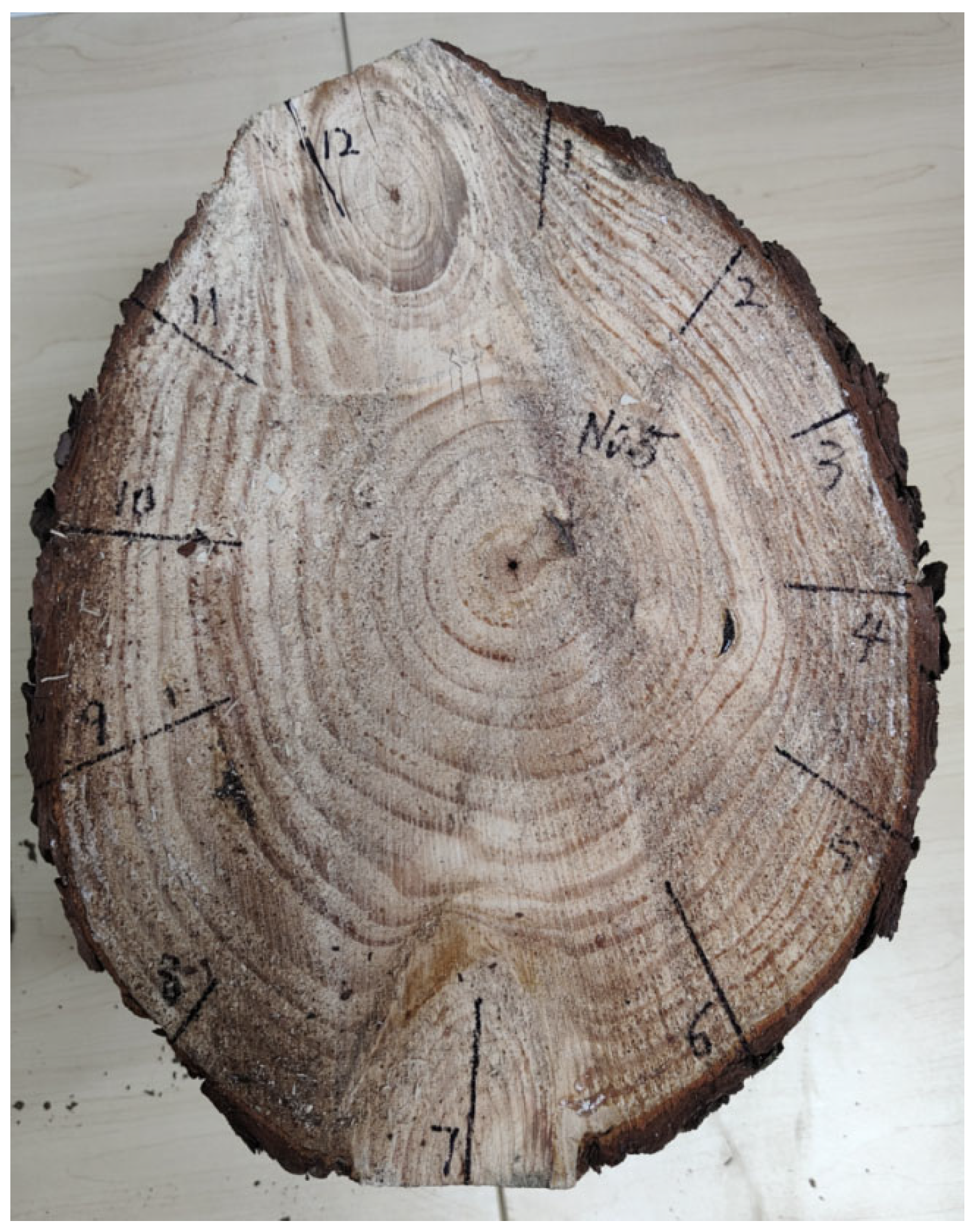 Forests 15 01748 g006