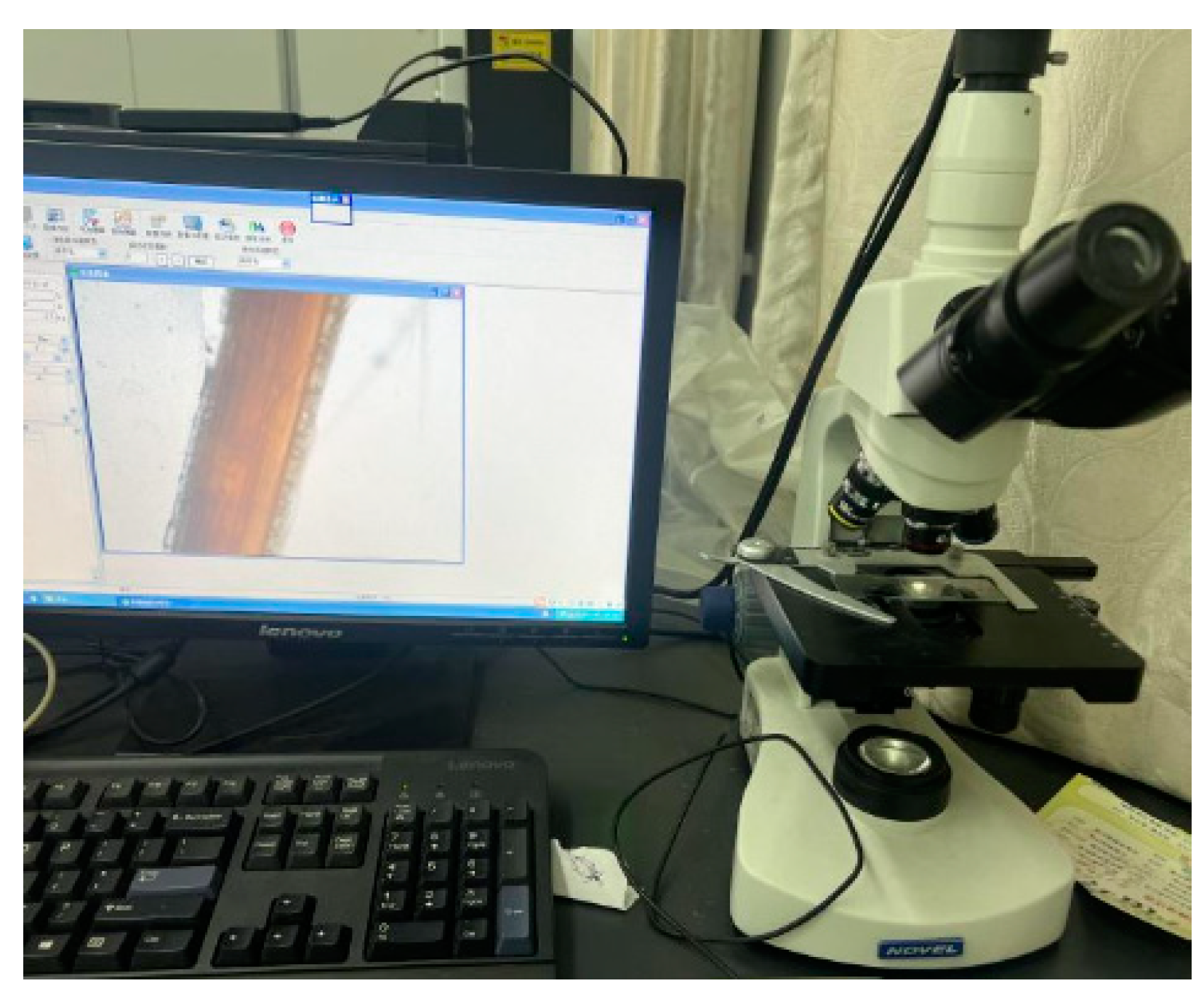 Forests 15 01754 g002