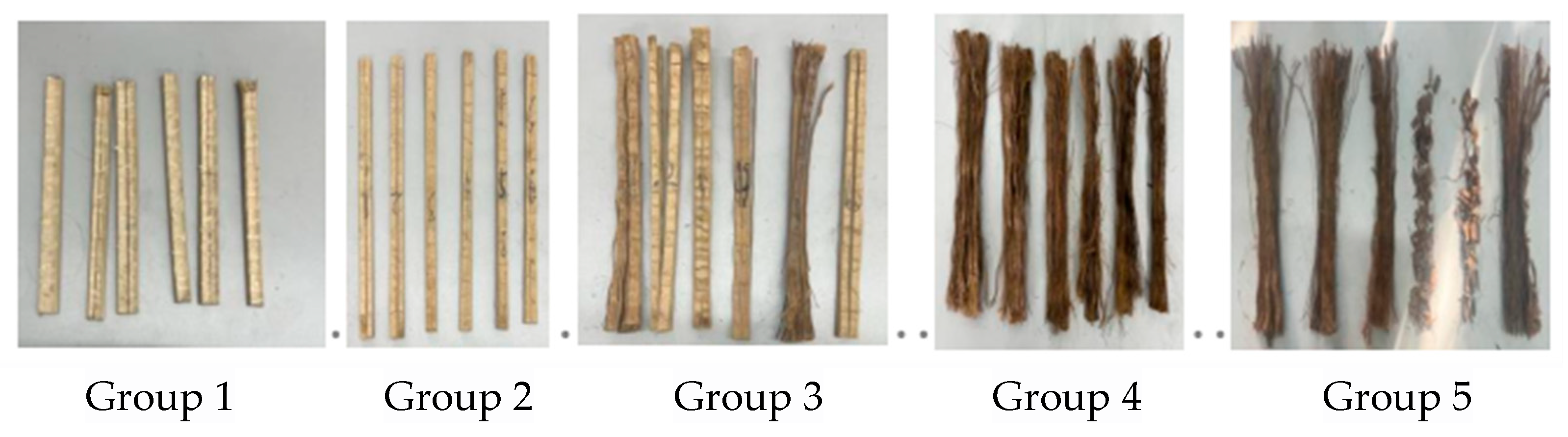 Forests 15 01754 g005